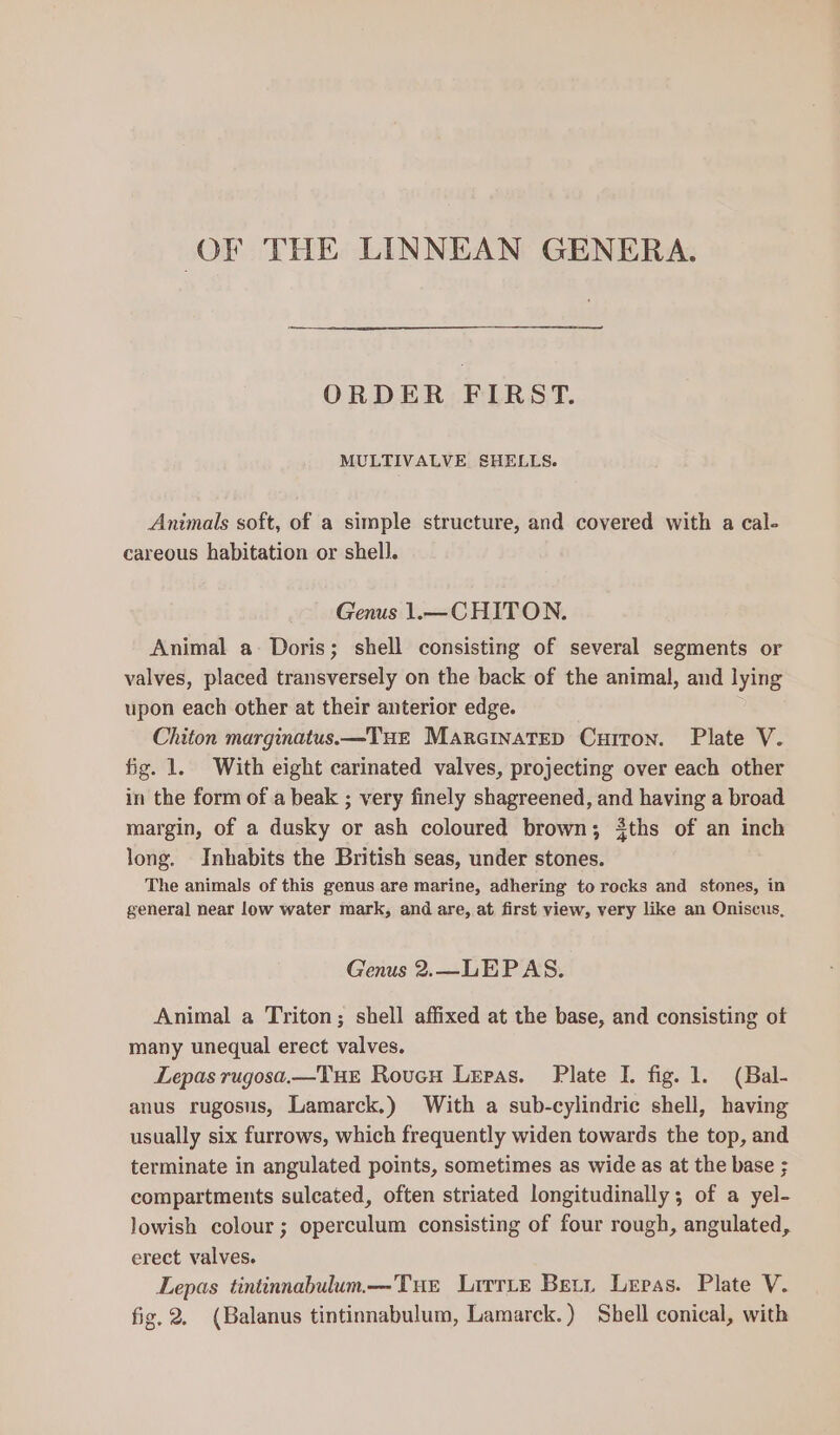 OF THE LINNEAN GENERA. ORDER FIRST. MULTIVALVE SHELLS. Animals soft, of a simple structure, and covered with a cal- careous habitation or shell. Genus 1.— CHITON. Animal a: Doris; shell consisting of several segments or valves, placed transversely on the back of the animal, and lying upon each other at their anterior edge. . Chiton marginatus.—TuHEeE Marcinatep Curron. Plate V. fig. 1. With eight carinated valves, projecting over each other in the form of a beak ; very finely shagreened, and having a broad margin, of a dusky or ash coloured brown; $ths of an inch long. Inhabits the British seas, under stones. The animals of this genus are marine, adhering to rocks and stones, in general near low water mark, and are, at first view, very like an Oniscus, Genus 2.—LEPAS. Animal a Triton; shell affixed at the base, and consisting of many unequal erect valves. Lepas rugosa.—TuHE Rouen Lepas. Plate I. fig. 1. (Bal- anus rugosus, Lamarck.) With a sub-cylindric shell, having usually six furrows, which frequently widen towards the top, and terminate in angulated points, sometimes as wide as at the base ; compartments sulcated, often striated longitudinally; of a yel- lowish colour; operculum consisting of four rough, angulated, erect valves. Lepas tintinnabulum—Tue Lirriz Bett Leras. Plate V. fig. 2. (Balanus tintinnabulum, Lamarck.) Shell conical, with