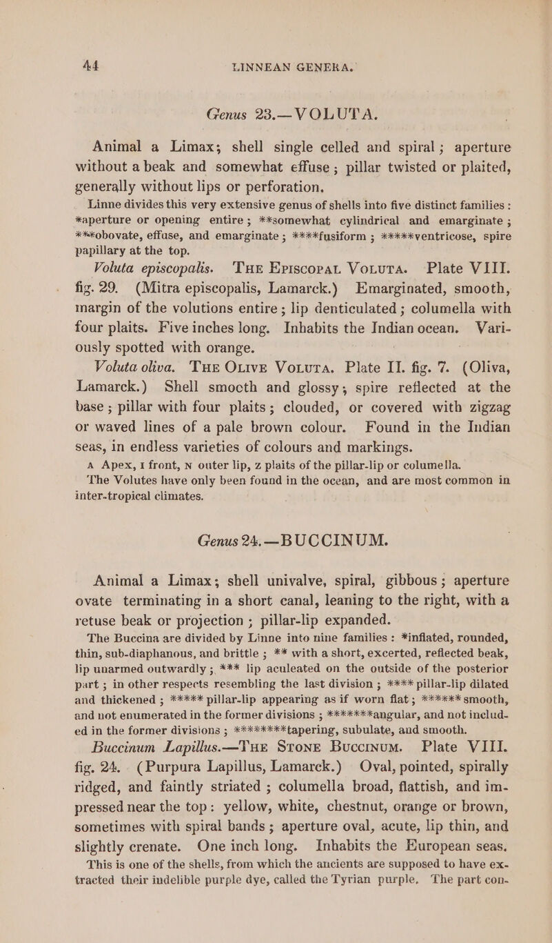 Genus 23.—VOLUTA. Animal a Limax; shell single celled and spiral ; aperture without a beak and somewhat effuse ; pillar twisted or plaited, generally without lips or perforation, Linne divides this very extensive genus of shells into five distinct families : *aperture or opening entire; **somewhat cylindrical and emarginate ; **kobovate, effuse, and emarginate ; ****fusiform ; *****ventricose, spire papillary at the top. Voluta episcopalis:s Tur Episcopat Votuta. Plate VIII. fig. 29. (Mitra episcopalis, Lamarck.) Emarginated, smooth, margin of the volutions entire; lip denticulated ; columella with four plaits. Five inches long. Inhabits the Indianocean. Vari- ously spotted with orange. Voluta ova. ‘Tue OtivE Votura. Plate II. fig. 7. (Oliva, Lamarck.) Shell smocth and glossy; spire reflected at the base ; pillar with four plaits; clouded, or covered with zigzag or waved lines of a pale brown colour. Found in the Indian seas, in endless varieties of colours and markings. A Apex, 1 front, N outer lip, z plaits of the pillar-lip or columella. The Volutes have only been found in the ocean, and are most common in inter-tropical climates. Genus 24.—BUCCINUM. Animal a Limax; shell univalve, spiral, gibbous ; aperture ovate terminating in a short canal, leaning to the right, with a retuse beak or projection ; pillar-lip expanded. The Buccina are divided by Linne into nine families: *inflated, rounded, thin, sub-diaphanous, and brittle ; ** with a short, excerted, reflected beak, lip unarmed outwardly ;, *** lip aculeated on the outside of the posterior part ; in other respects resembling the last division ; **** pillar-lip dilated and thickened ; ***** pillar-lip appearing as if worn flat; ****** smooth, and not enumerated in the former divisions ; *******angular, and not inelud- ed in the former divisions ; ********tapering, subulate, and smooth. Buccinum Lapillus.—Tur Stone Buccinum. Plate VIII. fig. 24, (Purpura Lapillus, Lamarck.) Oval, pointed, spirally ridged, and faintly striated ; columella broad, flattish, and im- pressed near the top: yellow, white, chestnut, orange or brown, sometimes with spiral bands ; aperture oval, acute, lip thin, and slightly crenate. One inch long. Inhabits the European seas. This is one of the shells, from which the ancients are supposed to have ex- tracted their indelible purple dye, called the Tyrian purple. The part con-