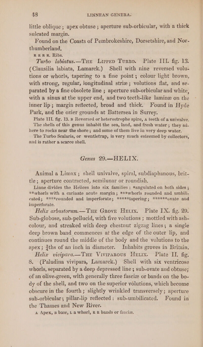 little oblique; apex obtuse ; aperture sub-orbicular, with a thick suleated margin. Found on the Coasts of Pembrokeshire, Dorsetshire, and Nor- thumberland, RRRR. Ribs. Turbo labiatus.x—TuE Lirprp Turzo. Plate IIT. fig. 13. (Clausilia labiata, Lamarck.) Shell with nine reversed volu- tions or whorls, tapering to a fine point ; colour light brown, with strong, regular, longitudinal striz; volutions flat, and se- parated by a fine obsolete line ; aperture sub-orbicular and white, with a sinus at the upper end, and two teeth-like lamine on the inner lip; margin reflected, broad and thick. Found in Hyde Park, and the ozier grounds at Battersea in Surrey. Plate IIT. fig. 13. B Reversed or heterostrophe spire, a teeth of a univalve. The shells of this genus inhabit the sea, land, and fresh water ; they ad- here to rocks near the shore; and some of them live in very deep water. The Turbo Scalaris, or wentletrap, is very much esteemed by collectors, and is rather a scarce shell. Genus 29.—HELIX. Animal a Limax; shell univalve, spiral, subdiaphanous, brit- tle; aperture contracted, semilunar or roundish. Linne divides the Helices into six families: *angulated on both sides ; *kwhorls with a carinate acute margin; ***whorls rounded and umbili- cated; ****rounded and imperforate; *****tapering; ******ovate and imperforate. Helix arbustorum.—THE Grove Hettrx. Plate IX. fig. 29. Sub-globose, sub-pellucid, with five volutions ; mottled with ash- colour, and streaked with deep chestnut zigzag lines; a single deep brown band commences at the edge of the outer lip, and continues round the middle of the body and the volutions to the apex; 3ths of an inch in diameter. Inhabits groves in Britain. Helix vivipara.—Tue Vivirarous Herrx. Plate II. fig. 8, (Paludina vivipara, Lamarck.) Shell with six ventricose whorls, separated by a deep depressed line ; sub-ovate and obtuse; of an olive-green, with generally three fasciz or bands on the bo- dy of the shell, and two on the superior volutions, which become obscure in the fourth; slightly wrinkled transversely ; aperture sub-orbicular; pillar-lip reflected; sub-umbilicated. Found in the Thames and New River. a Apex, B base, L a whorl, R R bands or fascia.