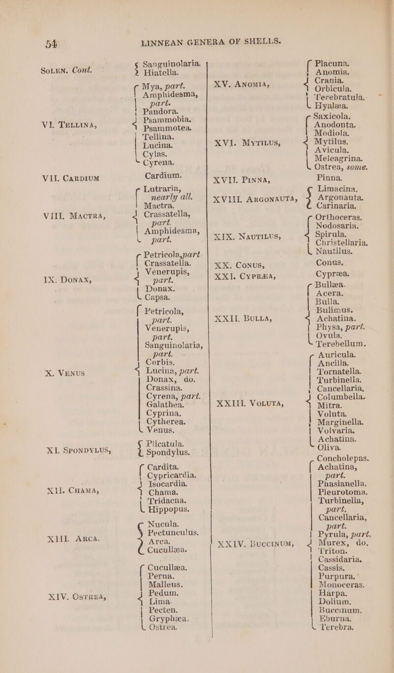 SoLEN. Cont. VEL TELLINA, VII, CaRDIUM VIII. Macrra, TX. Donax, X. VENUS XI. SPONDYLUS, Xl. Cuama, XIIL Arca. XIV. Osrrua Sanguinolaria. Hiatella. ig Mya, part. Amphidesma, part. | Pandora. } Psammobia. Psammotea. | Tellina. | Lucina. \ Cylas. &lt; Cyrena. Cardium. Lutraria, [ nearly all. Mactra. 1 Crassatella, part. | Amphidesma, L part. XV. ANOMIA, XVI. MyriLus, KVIIL. PInNa, XVIIL ARGONAUTA, XIX. NauriLus, ( Caneuaeelies - Crassatella. XX. Conus, Veneru pis, KXI. CyPRHA, ( Petricola, part. Venerupis, part. Sanguinolaria, part. Corbis. 4 Lucina, part. Donax, do. Crassina. Cyrena, part. Galathea. Cyprina. Cytherea. Venus. XXII BULLA, XXIII. VoLuta, Plicatula. Spondylus. Cardita. | Cypricardia. Isocardia, Chama. | Tridacna. L Hippopus. Nucula. Peetunculus. Cees. XXIV. BuccinuM, Cuculleea. Perna. | Malleus. Pedum. 4 Lima. | Pecten. Gryphexa. Ostrea, Placuna. ; Anomia, Crania. , Orbicula. [ ‘ferebratula.- Hyalea, Saxicola, Anodonta. | Modiola. Mytilus. Avicula, U Meleagrina. Onren some. Pinna. Limacina. Argonauta. Carinaria, Orthoceras. Nodosaria. Spirula. Christellaria, Nautilus. Conus. Cyprea. Bullea. Acera. Bulla. Bulimus. Achatina, | Physa, part. Ovula~ Terebellum. Auricula. Ancilla. Tornatella. Turbinella. Cancellaria, Columbeila. Mitra. Voluta. Marginella. Volvaria, Achatina. Oliva. Concholepas. Achatina, part. Phasianelja. Pleurotoma. Turbinella, part. Cancellaria, part. Pyrula, pare, 4 Murex, do. | ———_—___—— pee eee ‘Triton. Cassidaria. Cassis. Purpura. ° Monoceras. Harpa. Dolium. Buccium. Eburna. Terebra,