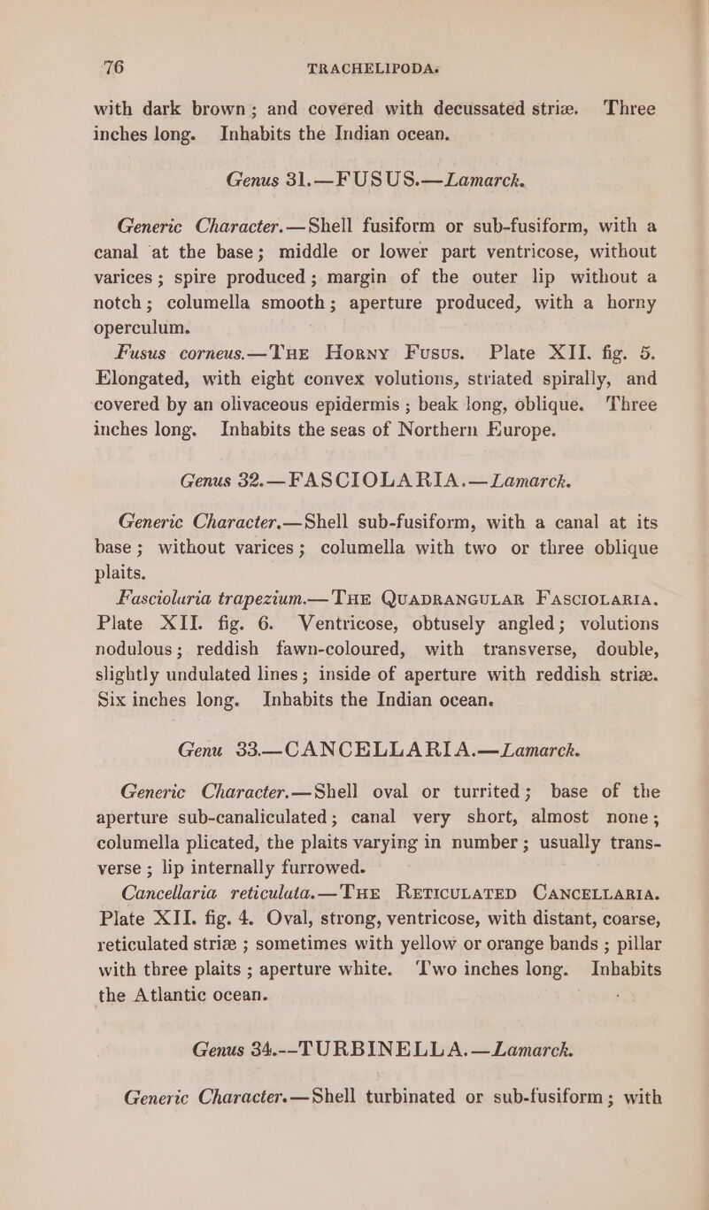 with dark brown; and covered with decussated strie. Three inches long. Inhabits the Indian ocean. Genus 31.—F US US.—Lamarck. Generic Character.—Shell fusiform or sub-fusiform, with a canal ‘at the base; middle or lower part ventricose, without varices ; spire produced ; margin of the outer lip without a notch; columella smooth; aperture produced, with a horny operculum. Fusus corneus.—Tue Horny Fusus. Plate XII. fig. 5. Elongated, with eight convex volutions, striated spirally, and covered by an olivaceous epidermis ; beak long, oblique. ‘Three inches long. Inhabits the seas of Northern Europe. Genus 32.—FASCIOLA RIA.—Lamarck. Generic Character.—Shell sub-fusiform, with a canal at its base ; without varices; columella with two or three oblique plaits. Fascioluria trapezium.— THE QUADRANGULAR FAscroLaRia. Plate XII. fig. 6. Ventricose, obtusely angled; volutions nodulous; reddish fawn-coloured, with transverse, double, slightly undulated lines ; inside of aperture with reddish striz. Six inches long. Inhabits the Indian ocean. Genu 33—CANCELLARIA.—Lamarck. Generic Character.—Shell oval or turrited; base of the aperture sub-canaliculated; canal very short, almost none; columella plicated, the plaits varying in number; usually trans- verse ; lip internally furrowed. Cancellaria reticuluta.—THE ReEtTIcULATED CANCELLARIA. Plate XII. fig. 4. Oval, strong, ventricose, with distant, coarse, reticulated striz ; sometimes with yellow or orange bands ; pillar with three plaits ; aperture white. ‘Iwo inches long. Inhabits the Atlantic ocean. Genus 34.--TURBINELLA.—Lamarch. Generic Character. —Shell turbinated or sub-fusiform; with