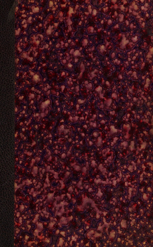 digitised image 1