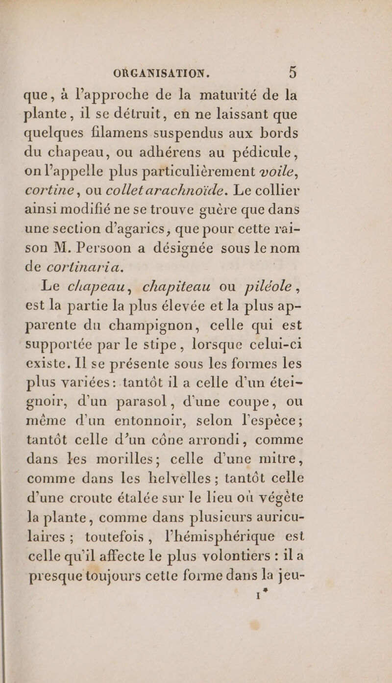 que, à l’approche de la maturité de la plante , il se détruit, en ne laissant que quelques filamens suspendus aux bords du chapeau, ou adhérens au pédicule, on l’appelle plus particulièrement voile, cortine, ou colletarachnoïde. Le collier ainsi modifié ne se trouve guère que dans une section d’agarics, que pour cette rai- son M. Persoon a désignée sous le nom de cortinaria. Le chapeau, chapiteau ou ptits ; est la partie la plus élevée et la plus ap- parente du champignon, celle qui est supportée par le stipe, lorsque celui-ci existe. Il se présente sous Les formes les plus variées: tantôt il a celle d’un étei- gnoir, d'un parasol, d'une coupe, ou même d'un entonnoir, selon l'espèce; tantôt celle d’un cône arrondi, comme dans les morilles; celle d’une mitre, comme dans les bélréllés: tantôt celle d’une croute étalée sur le lieu où végète la plante, comme dans plusieurs auricu- laires ; toutefois, l’hémisphérique est celle qu'il affecte le plus volontiers : il a presque toujours cette forme dans la jeu- to