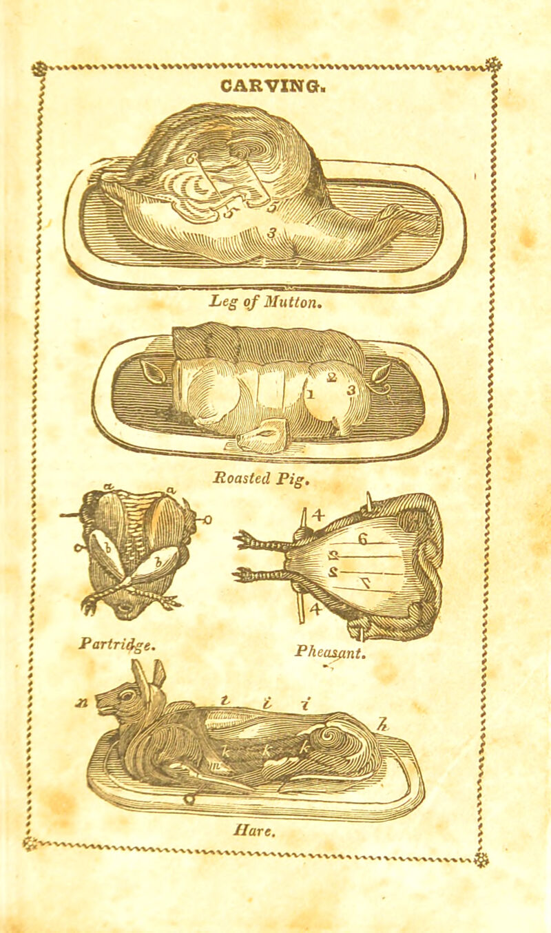 CARVING. Leg of Mutton Hoasted Pig* Partridge Pheamnt Hare,