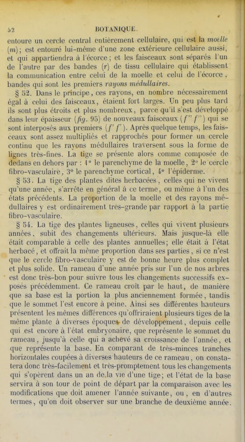 entoure un cercle central entièrement cellulaire, qui est la moelle (m) ; est entouré lui-mème d’une zone extérieure cellulaire aussi, et qui appartiendra à l'écorce ; et les faisceaux sont séparés l’un de l’autre par des bandes (r) de tissu cellulaire qui établissent la communication entre celui de la moelle et celui de I écorce , bandes qui sont les premiers rayons médullaires. § 52. Dans le principe, ces rayons, en nombre nécessairement égal à celui des faisceaux, étaient fort larges. Un peu plus tard ils sont plus étroits et plus nombreux, parce qu’il s’est développé dans leur épaisseur (fig. 95) de nouveaux faisceaux {f” f”) qui se sont interposés aux premiers [f’ f ’). Après quelque temps, les fais- ceaux sont assez multipliés et rapprochés pour former un cercle continu que les rayons médullaires traversent sous la forme de lignes très-fines. La tige se présente alors comme composée de dedans en dehors par : 1 ° le parenchyme de la moelle, 2° le cercle fibro-vasculaire, 3° le parenchyme cortical, 1° l’épiderme. § 53. La tige des plantes dites herbacées, celles qui ne vivent qu’une année, s’arrête en général à ce terme, ou même à l’un des états précédents. La proportion de la moelle et des rayons mé- dullaires y est ordinairement très-grande par rapport à la partie fibro-vasculaire. § 54. La tige des plantes ligneuses, celles qui vivent plusieurs années, subit des changements ultérieurs. Mais jusque-là elle était comparable à celle des plantes annuelles; elle était à l’état herbacé, et offrait la même proportion dans ses parties, si ce n’est que le cercle fibro-vasculaire y est de bonne heure plus complet et plus solide. Un rameau d'une année pris sur l’un de nos arbres est donc très-bon pour suivre tous les changements successifs ex- posés précédemment. Ce rameau croit par le haut, de manière que sa base est la portion la plus anciennement formée, tandis que le sommet l’est encore à peine. Ainsi ses différentes hauteurs présentent les mêmes différences qu’offriraient plusieurs tiges de la même plante à diverses époques de développement, depuis celle qui est encore à l’état embryonaire, que représente le sommet du rameau, jusqu’à celle qui a achevé sa croissance de l’année, et que représente la base. En comparant de très-minces tranches horizontales coupées à diverses hauteurs de ce rameau, on consta- tera donc très-facilement et très-promptement tous les changements qui s’opèrent dans un an de.la vie d’une tige; et l’état de la base servira à son tour de point de départ par la comparaison avec les modifications que doit amener l’année suivante, ou , en d’autres termes-, qu’on doit observer sur une branche de deuxième année.