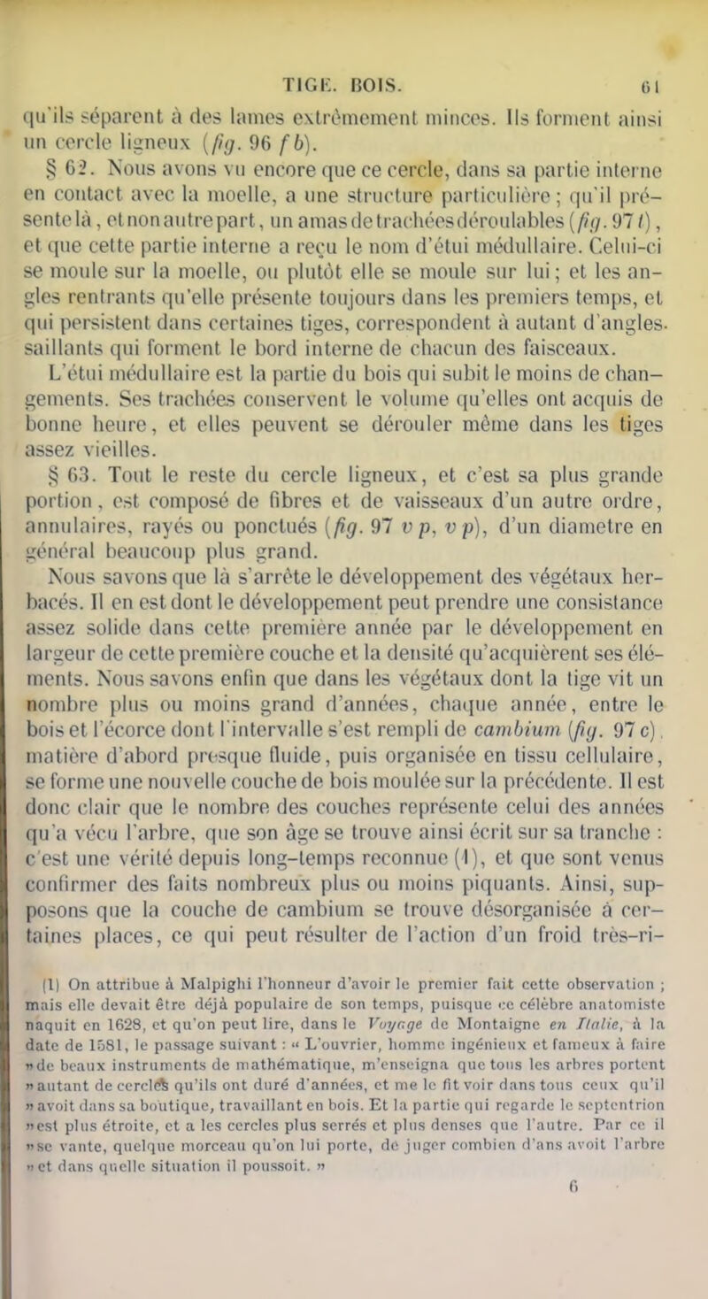 qu’ils séparent à des lames extrêmement minces. Ils forment ainsi un cercle ligneux (fig. 96 fb). § 62. Nous avons vu encore que ce cercle, dans sa partie interne en contact avec la moelle, a une structure particulière; qu'il pré- sente là , et non autre part, un amas de trachées déroulables (fig. 971), et que cette partie interne a reçu le nom d’étui médullaire. Celui-ci se moule sur la moelle, ou plutôt elle se moule sur lui ; et les an- gles rentrants qu’elle présente toujours dans les premiers temps, et qui persistent dans certaines tiges, correspondent à autant d’angles, saillants qui forment le bord interne de chacun des faisceaux. L'étui médullaire est la partie du bois qui subit le moins de chan- gements. Ses trachées conservent le volume qu’elles ont acquis de bonne heure, et elles peuvent se dérouler même dans les tiges assez vieilles. § 63. Tout le reste du cercle ligneux, et c’est sa plus grande portion, est composé de fibres et de vaisseaux d’un autre ordre, annulaires, rayés ou ponctués (fig. 97 v p. vp), d’un diamètre en général beaucoup plus grand. Nous savons que là s’arrête le développement des végétaux her- bacés. Il en est dont le développement peut prendre une consistance assez solide dans cette première année par le développement en largeur de cette première couche et la densité qu’acquièrent ses élé- ments. Nous savons enfin que dans les végétaux dont la tige vit un nombre plus ou moins grand d’années, chaque année, entre le bois et l’écorce dont l’intervalle s’est rempli de cambium (fig. 97 c) matière d’abord presque fluide, puis organisée en tissu cellulaire, se forme une nouvelle couche de bois moulée sur la précédente. Il est donc clair que le nombre des couches représente celui des années qu’a vécu l’arbre, que son âge se trouve ainsi écrit sur sa tranche : c’est une vérité depuis long-temps reconnue (1), et que sont venus confirmer des faits nombreux plus ou moins piquants. Ainsi, sup- posons que la couche de cambium se trouve désorganisée à cer- taines places, ce qui peut résulter de l’action d’un froid très—ri- (1 ) On attribue à Malpighi l'honneur d’avoir le premier fait cette observation ; mais elle devait être déjà populaire de son temps, puisque ce célèbre anatomiste naquit en 1628, et qu'on peut lire, dans le Voyage de Montaigne en Italie, à la date de 1581, le passage suivant : >< L'ouvrier, homme ingénieux et fameux à faire «de beaux instruments de mathématique, m’enseigna quêtons les arbres portent « autant de cerclA qu’ils ont duré d'années, et me le fit voir dans tous ceux qu’il » avoit dans sa boutique, travaillant en bois. Et la partie qui regarde le septentrion «est plus étroite, et a les cercles plus serrés et plus denses que l’autre. Par ce il «se vante, quelque morceau qu’on lui porte, de juger combien d’ans avoit l’arbre «et dans quelle situation il poussoit. « 6