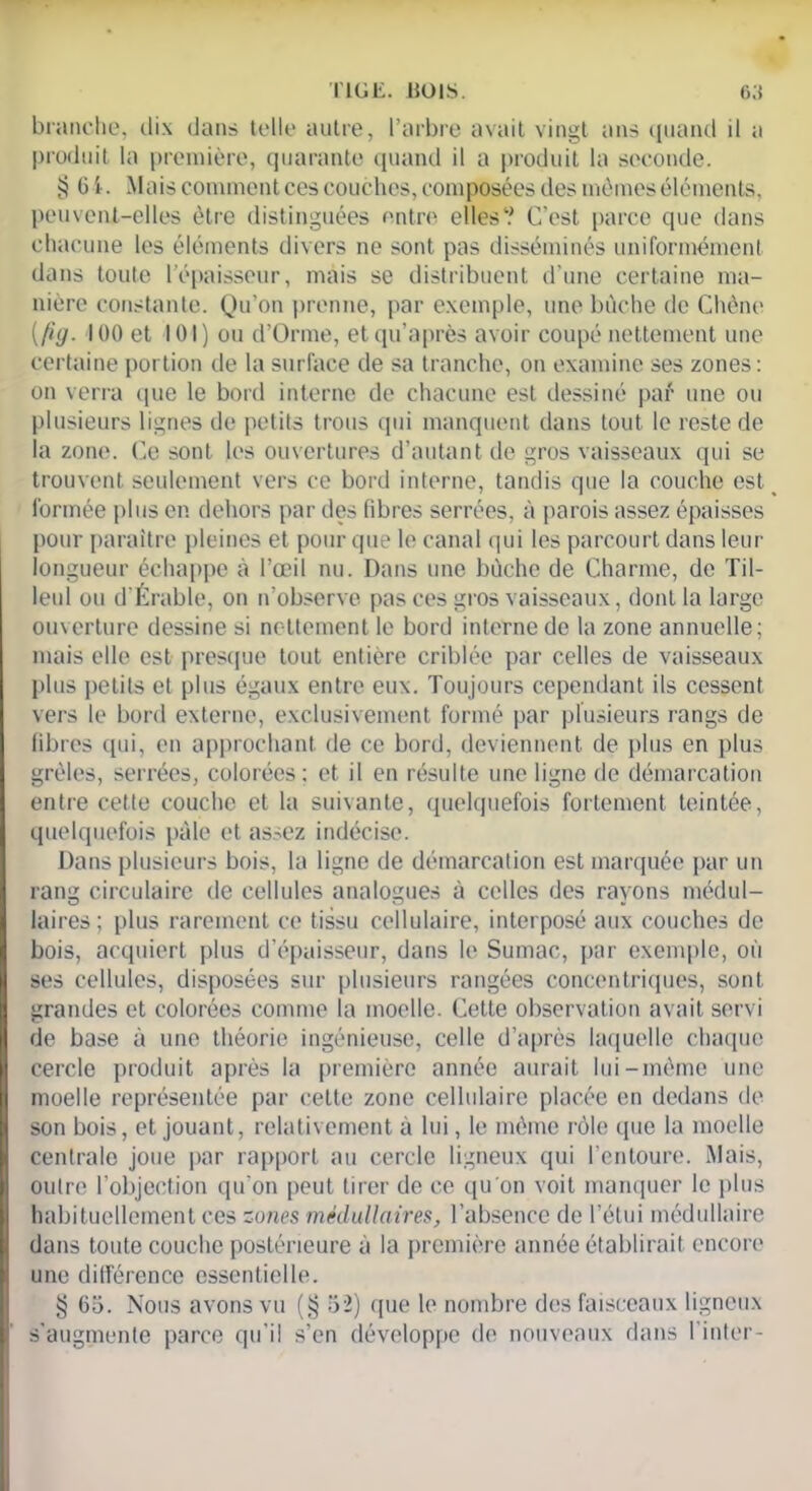 branche, dix dans telle autre, l’arbre avait vingt ans quand il a produit la première, quarante quand il a produit la seconde. 64. Mais comment ces couches, composées des mêmes éléments, peuvent-elles être distinguées entre elles? C’est parce que dans chacune les éléments divers ne sont pas disséminés uniformément dans toute l’épaisseur, mais se distribuent d’une certaine ma- nière constante. Qu’on prenne, par exemple, une bûche de Chêne (fig. 100 et 101) ou d’Orme, etqu’après avoir coupé nettement une certaine portion de la surface de sa tranche, on examine ses zones: on verra que le bord interne de chacune est dessiné paé une ou plusieurs lignes de petits trous qui manquent dans tout le reste de la zone. Ce sont les ouvertures d’autant de gros vaisseaux qui se trouvent seulement vers ce bord interne, tandis que la couche est formée plus en dehors par des fibres serrées, à parois assez épaisses pour paraître pleines et pour que le canal qui les parcourt dans leur longueur échappe à l’œil nu. Dans une bûche de Charme, de Til- leul ou d’Érable, on n’observe pas ces gros vaisseaux, dont la large ouverture dessine si nettement le bord interne de la zone annuelle; mais elle est presque tout entière criblée par celles de vaisseaux plus petits et plus égaux entre eux. Toujours cependant ils cessent vers le bord externe, exclusivement formé par plusieurs rangs de fibres qui, en approchant de ce bord, deviennent de plus en plus grêles, serrées, colorées; et il en résulte une ligne de démarcation entre cette couche et la suivante, quelquefois fortement teintée, quelquefois pâle et assez indécise. Dans plusieurs bois, la ligne de démarcation est marquée par un rang circulaire de cellules analogues à celles des rayons médul- laires ; plus rarement ce tissu cellulaire, interposé aux couches de bois, acquiert plus d’épaisseur, dans le Sumac, par exemple, où ses cellules, disposées sur plusieurs rangées concentriques, sont grandes et colorées comme la moelle. Cette observation avait servi de base à une théorie ingénieuse, celle d’après laquelle chaque cercle produit après la première année aurait lui-même une moelle représentée par cette zone cellulaire placée en dedans de son bois, et jouant, relativement à lui, le même rôle que la moelle centrale joue par rapport au cercle ligneux qui l’entoure. Mais, outre l’objection qu’on peut tirer de ce qu'on voit manquer le plus habituellement ces zones médullaires, l’absence de l’étui médullaire dans toute couche postérieure à la première année établirait encore une différence essentielle. § 65. Nous avons vu (§ 52) que le nombre des faisceaux ligneux s’augmente parce qu’il s’en développe de nouveaux dans I inter-