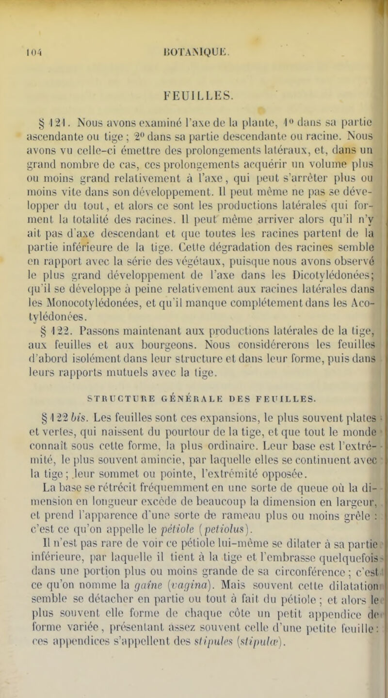 I()4 H0TAN1QUIS. FEUILLES. § 121. Nous avons examiné l’axe de la plante, 1° dans sa partie ascendante ou tige ; 2° dans sa partie descendante ou racine. Nous avons vu celle-ci émettre des prolongements latéraux, et, dans un grand nombre de cas, ces prolongements acquérir un volume plus ou moins grand relativement à l’axe, qui peut s’arrêter plus ou moins vite dans son développement. 11 peut même ne pas se dévc- 1 lopper du tout, et alors ce sont les productions latérales qui for- ment la totalité des racines. 11 peut même arriver alors qu’il n’v ait pas d'axe descendant et que toutes les racines partent de la partie inférieure de la tige. Celte dégradation des racines semble en rapport avec la série des végétaux, puisque nous avons observé le plus grand développement de l’axe dans les Dicotylédonées; qu'il se développe à peine relativement aux racines latérales dans les Monocotylédonées, et qu’il manque complètement dans les Aco- tylédonées. § 122. Passons maintenant aux productions latérales de la tige, aux feuilles et aux bourgeons. Nous considérerons les feuilles d’abord isolément dans leur structure et dans leur forme, puis dans leurs rapports mutuels avec la lige. STRUCTURE GENERALE DES FEUILLES. § 122 bis. Les feuilles sont ces expansions, le plus souvent plates • et vertes, qui naissent du pourtour de la tige, et que tout le monde connaît sous cette forme, la plus ordinaire. Leur base est l’extré- • mité, le plus souvent amincie, par laquelle elles se continuent avec la tige; .leur sommet ou pointe, l’extrémité opposée. La base se rétrécit fréquemment en une sorte de queue où la di- mension en longueur excède de beaucoup la dimension en largeur, et prend l’apparence d'une sorte de rameau plus ou moins grêle : c’est ce qu’on appelle le pétiole (petiolus). Il n’est pas rare de voir ce pétiole lui-même se dilater à sa partie inférieure, par laquelle il tient à la tige et l’embrasse quelquefois - dans une portion plus ou moins grande de sa circonférence; c’est ce qu’on nomme la gaine [vagina). Mais souvent celte dilatation semble se détacher en partie ou tout à fait du pétiole ; et alors le plus souvent elle forme de chaque cote un petit appendice de forme variée, présentant assez souvent celle d’une petite feuille: ces appendices s’appellent des stipules [stipula1).