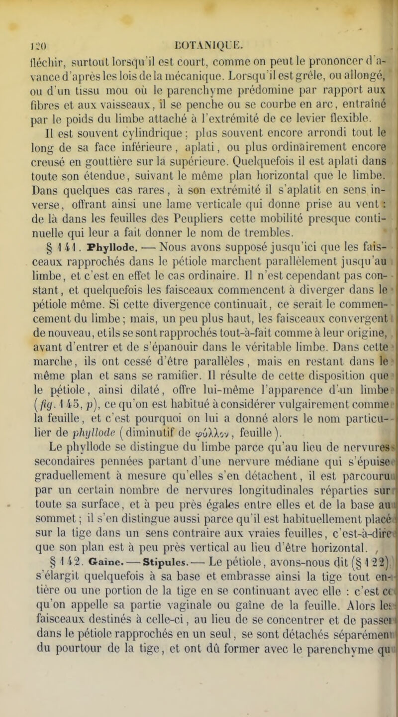 fléchir, surtoul lorsqu'il est court, comme on peut le prononcer <1 a- vanced’après les lois de la mécanique. Lorsqu’il est grêle, ou allongé, ou d’un tissu mou où le parenchyme prédomine par rapport aux fibres et aux vaisseaux, il se penche ou se courbe en arc, entraîné par le poids du limbe attaché à l’extrémité de ce levier flexible. 11 est souvent cylindrique ; plus souvent encore arrondi tout le long de sa face inférieure, aplati, ou plus ordinairement encore creusé en gouttière sur la supérieure. Quelquefois il est aplati dans toute son étendue, suivant le même plan horizontal que le limbe. Dans quelques cas rares, à son extrémité il s’aplatit en sens in- verse, offrant ainsi une lame verticale qui donne prise au vent : de là dans les feuilles des Peupliers cette mobilité presque conti- nuelle qui leur a fait donner le nom de trembles. § I 41. Phyllode. — Nous avons supposé jusqu’ici que les fais- ceaux rapprochés dans le pétiole marchent parallèlement jusqu’au limbe, et c’est en effet le cas ordinaire. Il n’est cependant pas con- stant, et quelquefois les faisceaux commencent à diverger dans le pétiole même. Si cette divergence continuait, ce serait le commen- cement du limbe; mais, un peu plus haut, les faisceaux convergent de nouveau, etils se sont rapprochés tout-à-fait comme à leur origine, avant d’entrer et de s’épanouir dans le véritable limbe. Dans celte marche, ils ont cessé d’être parallèles, mais en restant dans le même plan et sans se ramifier. 11 résulte de cette disposition que le pétiole, ainsi dilaté, offre lui-même l’apparence d'un limbe ( fiy. I 45, p), ce qu’on est habitué àconsidérer vulgairement comme la feuille, et c’est pourquoi on lui a donné alors le nom particu- lier de phyllode (diminutif de «nSXXov, feuille). Le phyllode se distingue du limbe parce qu’au lieu de nervures- secondaires pennées partant d une nervure médiane qui s’épuise graduellement à mesure qu'elles s’en détachent, il est parcouru par un certain nombre de nervures longitudinales réparties sur toute sa surface, et à peu près égales entre elles et de la base au sommet ; il s'en distingue aussi parce qu'il est habituellement placé sur la tige dans un sens contraire aux vraies feuilles, c’est-à-dirc que son plan est à peu près vertical au lieu d’être horizontal. , § 142. Gaîne. — Stipules.— Le pétiole, avons-nous dit (§ 122) s’élargit quelquefois à sa base et embrasse ainsi la tige tout en- tière ou une portion de la tige en se continuant avec elle : c’est c< qu'on appelle sa partie vaginale ou gaine de la feuille. Alors les faisceaux destinés à celle-ci, au lieu de se concentrer et de passeï dans le pétiole rapprochés en un seul, se sont détachés séparément ' du pourtour de la tige, et ont dû former avec le parenchyme qu