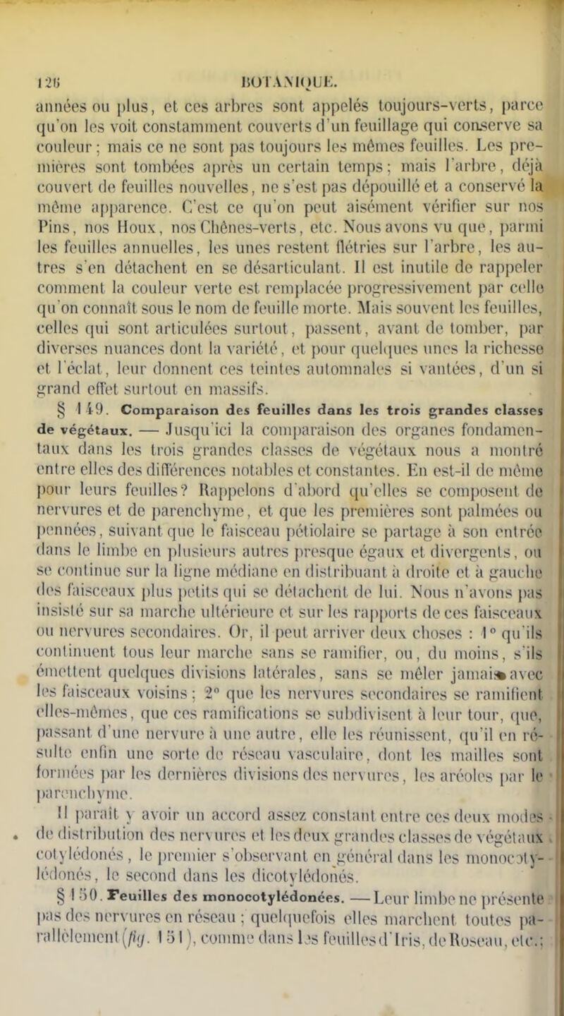 I2U BOTAMOUE. années ou plus, et ces arbres sont appelés toujours-verts, parce qu’on les voit constamment couverts d’un feuillage qui conserve sa couleur ; mais ce ne sont pas toujours les mêmes feuilles. Les pre- mières sont tombées après un certain temps; mais l’arbre, déjà couvert de feuilles nouvelles, ne s’est pas dépouillé et a conservé la môme apparence. C’est ce qu’on peut aisément vérifier sur nos Pins, nos Houx, nos Chênes-verts, etc. Nous avons vu que, parmi les feuilles annuelles, les unes restent flétries sur l’arbre, les au- tres s’en détachent en se désarticulant. Il est inutile de rappeler comment la couleur verte est remplacée progressivement par celle (pi on connaît sous le nom de feuille morte. Mais souvent les feuilles, celles qui sont articulées surtout, passent, avant de tomber, par diverses nuances dont la variété, et pour quelques unes la richesse et l’éclat, leur donnent ces teintes automnales si vantées, d’un si grand effet surtout en massifs. . I § I 49. Comparaison des feuilles dans les trois grandes classes de végétaux. — Jusqu’ici la comparaison des organes fondamen- taux dans les trois grandes classes de végétaux nous a montré entre elles des différences notables et constantes. En est-il de même pour leurs feuilles? Rappelons d'abord qu’elles se composent de nervures et de parenchyme, et que les premières sont palmées ou pennées, suivant que le faisceau pétiolaire se partage à son entrée dans le limbe en plusieurs autres presque égaux et divergents, ou se continue sur la ligne médiane en distribuant à droite et à gauche des faisceaux plus petits qui se détachent de lui. Nous n’avons pas insisté sur sa marche ultérieure et sur les rapports de ces faisceaux ou nervures secondaires. Or, il peut arriver deux choses : 1° qu’ils continuent tous leur marche sans se ramifier, ou, du moins, s’ils émettent quelques divisions latérales, sans se mêler jamais*avec les faisceaux voisins ; 2° que les nervures secondaires se ramifient elles-mêmes, que ces ramifications se subdivisent à leur tour, (pie, passant d’une nervure à une autre, elle les réunissent, qu’il en ré- sulte enfin une sorte de réseau vasculaire, dont les mailles sont formées par les dernières divisions des nervures, les aréoles par le parenchyme. Il paraît v avoir un accord assez constant entre ces deux modes • de distribution des nervures et lesdeux grandes classes de végétaux cotylédonés , le premier s’observant en général dans les monocoty- lédonés, le second dans les dicotylédonés. § 150. Feuilles des monocotylédonées. —Leur limbe ne présente pas des nervures en réseau ; quelquefois elles marchent toutes pa- i