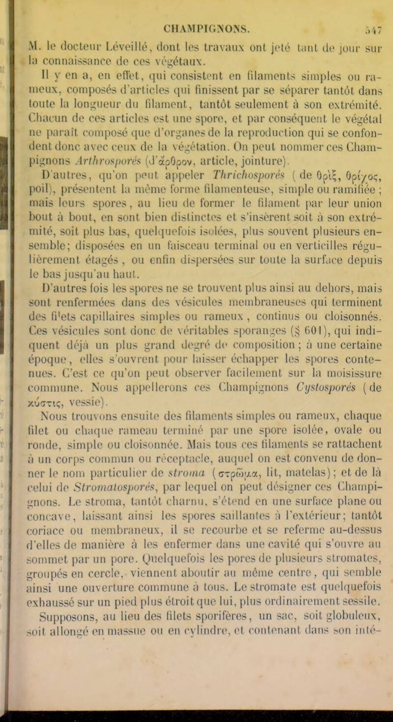 CHAMPIGNONS. Ô47 M. le docteur Léveillé, dont les travaux ont jeté tant île jour sur la connaissance de ces végétaux. Il y en a, en effet, qui consistent en filaments simples ou ra- meux, composés d’articles qui finissent par se séparer tantôt dans toute la longueur du filament, tantôt seulement à son extrémité. Chacun de ces articles est une spore, et par conséquent le végétal ne paraît composé que d’organes de la reproduction qui se confon- dent donc avec ceux de la végétation. On peut nommer ces Cham- pignons Arthrosporés (J'apOpov, article, jointure). D’autres, qu’on peut appeler Thrichosporés ( de Opi;, Ôptyoç, poil), présentent la même forme filamenteuse, simple ou ramifiée; mais leurs spores, au lieu de former le filament par leur union bout à bout, en sont bien distinctes et s’insèrent soit à son extré- mité, soit plus bas, quelquefois isolées, plus souvent plusieurs en- semble; disposées en un faisceau terminal ou en vertieilles régu- lièrement étagés , ou enfin dispersées sur toute la surface depuis le bas jusqu’au haut. D’autres fois les spores ne se trouvent plus ainsi au dehors, mais sont renfermées dans des vésicules membraneuses qui terminent des fi'ets capillaires simples ou rameux , continus ou cloisonnés. Ces vésicules sont donc de véritables sporanges ($ 601), qui indi- quent déjà un plus grand degré de composition; à une certaine époque, elles s’ouvrent pour laisser échapper les spores conte- nues. C’est ce qu’on peut observer facilement sur la moisissure commune. Nous appellerons ces Champignons Cystosporés (de xucTTtç, vessie). Nous trouvons ensuite des filaments simples ou rameux, chaque filet ou chaque rameau terminé par une spore isolée, ovale ou ronde, simple ou cloisonnée. Mais tous ces filaments se rattachent à un corps commun ou réceptacle, auquel on est convenu de don- ner le nom particulier de stroma (cxpwjxaç, lit, matelas); et de là celui de Stromalosporés, par lequel on peut désigner ces Champi- gnons. Le stroma, tantôt charnu, s’étend en une surface plane ou concave, laissant ainsi les spores saillantes à l’extérieur; tantôt coriace ou membraneux, il se recourbe et se referme au-dessus d’elles de manière à les enfermer dans une cavité qui s’ouvre au sommet par un pore. Quelquefois les pores de plusieurs stromates, groupés en cercle, viennent aboutir au même centre, qui semble ainsi une ouverture commune à tous. Lestromate est quelquefois exhaussé sur un pied plus étroit que lui, plus ordinairement sessile. Supposons, au lieu des filets sporifères, un sac, soit globuleux, soit allongé en massue ou en cylindre, et contenant dans son inté-