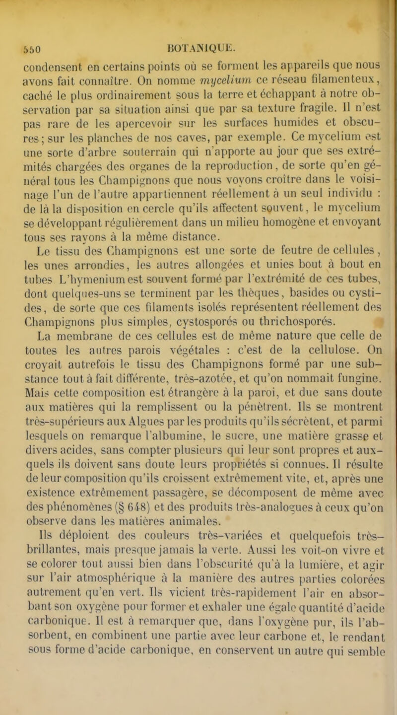 condensent en certains points où se forment les appareils que nous avons fait connaître. On nomme mycélium ce réseau filamenteux, caché le plus ordinairement sous la terre et échappant à notre ob- servation par sa situation ainsi que par sa texture fragile. 11 n’est pas rare de les apercevoir sur les surfaces humides et obscu- res; sur les planches de nos caves, par exemple. Ce mycélium est une sorte d’arbre souterrain qui n'apporte au jour que ses extré- mités chargées des organes de la reproduction, de sorte qu’en gé- néral tous les Champignons que nous voyons croître dans le voisi- nage l’un de l’autre appartiennent réellement à un seul individu : de là la disposition en cercle qu’ils affectent souvent, le mycélium se développant régulièrement dans un milieu homogène et envoyant tous ses rayons à la même distance. Le tissu des Champignons est une sorte de feutre de cellules, les unes arrondies, les autres allongées et unies bout à bout en tubes L’hymeniumest souvent formé par l’extrémité de ces tubes, dont quelques-uns se terminent par les thèques, basides ou cysti- dcs, de sorte que ces filaments isolés représentent réellement des Champignons plus simples, cystosporés ou thrichosporés. La membrane de ces cellules est de môme nature que celle de toutes les autres parois végétales : c’est de la cellulose. On croyait autrefois le tissu des Champignons formé par une sub- stance tout à fait différente, très-azotée, et qu’on nommait fungine. Mais cette composition est étrangère à la paroi, et due sans doute aux matières qui la remplissent ou la pénètrent. Ils se montrent très-supérieurs aux Algues par les produits qu’ils sécrètent, et parmi lesquels on remarque l’albumine, le sucre, une matière grasse et divers acides, sans compter plusieurs qui leur sont propres et aux- quels ils doivent sans doute leurs propriétés si connues. Il résulte de leur composition qu’ils croissent extrêmement vite, et, après une existence extrêmement passagère, se décomposent de même avec des phénomènes (§ 618) et des produits très-analogues à ceux qu’on observe dans les matières animales. Us déploient des couleurs très-variées et quelquefois très- brillantes, mais presque jamais la verte. Aussi les voit-on vivre et se colorer tout aussi bien dans l’obscurité qu’à la lumière, et agir sur l’air atmosphérique à la manière des autres parties colorées autrement qu’en vert. Ils vicient très-rapidement l’air en absor- bant son oxygène pour former et exhaler une égale quantité d’acide carbonique. Il est à remarquer que, dans l'oxygène pur, ils l’ab- sorbent, en combinent une partie avec leur carbone et, le rendant sous forme d’acide carbonique, en conservent un autre qui semble