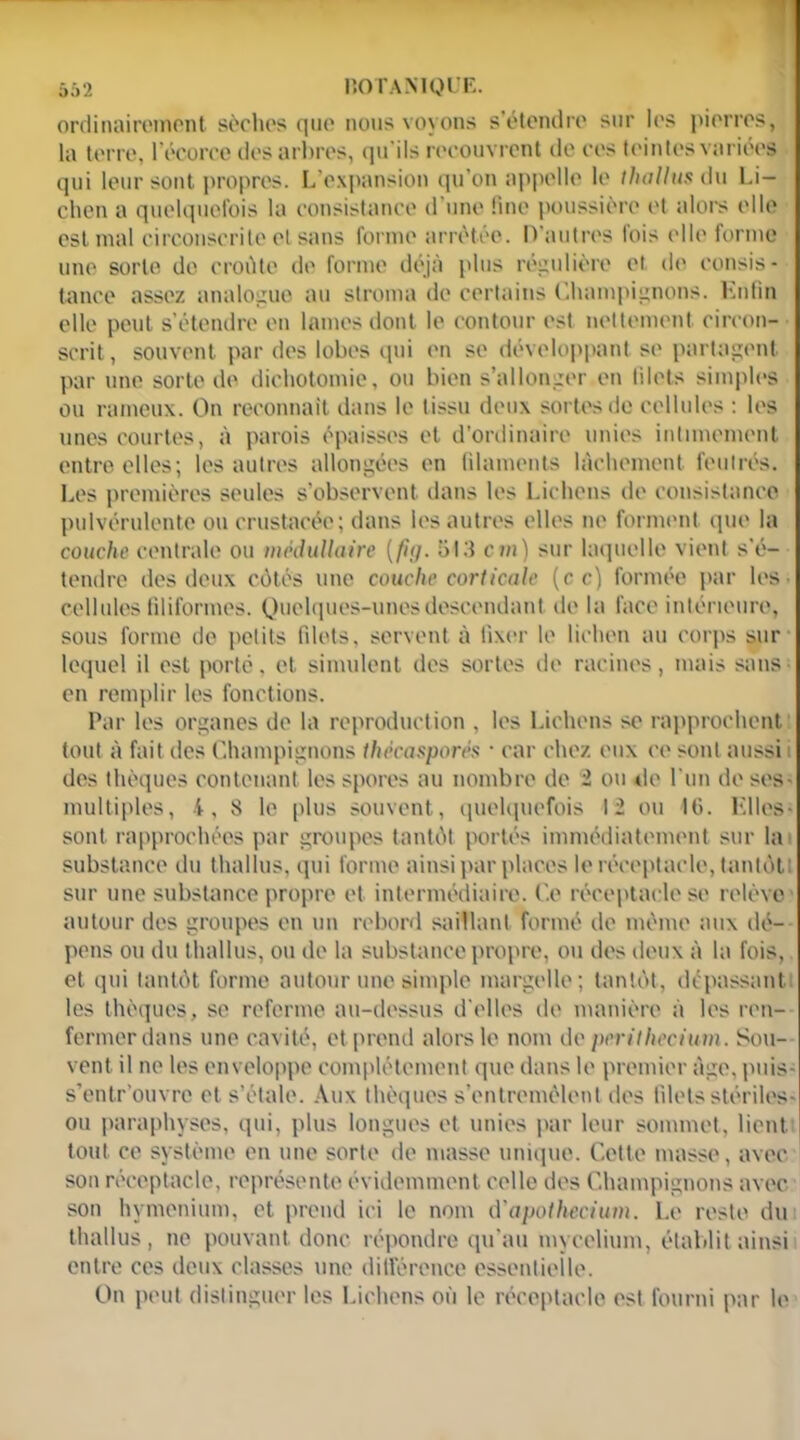 ordinairement sèches que nous voyons s’étendre sur les pierres, la terre, l’écorce des arbres, qu’ils recouvrent de ces teintes variées qui leur sont propres. L’expansion qu’on appelle le thallus du Li- chen a quelquefois la consistance d une ünc poussière et alors elle est mal circonscrite et sans forme arrêtée. D'autres lois (dit' forme une sorte do croûte de forme déjà plus régulière et de consis- tance assez analogue au stroma de certains Champignons. Enfin elle peut s’étendre en lames dont le contour est nettement circon- scrit , souvent par des lobes qui en se développant se partagent par une sorte de dichotomie, ou bien s’allonger en filets simples ou rameux. On reconnaît dans le tissu deux sortes do cellules : les unes courtes, à parois épaisses et d’ordinaire unies intimement entre elles; les autres allongées en filaments lâchement feutrés. Les premières seules s’observent dans les Lichens de consistance pulvérulente ou crustacée; dans les autres elles ne forment que la couche centrale ou médullaire [fit]. 513 ci») sur laquelle vient s'é- tendre des deux côtés une couche corticale (c c) formée par les ■ cellules filiformes. Quelques-unes descendant de la face intérieure, sous forme de petits filets, servent à fixer le lichen au corps sur lequel il est porté, et simulent des sortes de racines, mais sans en remplir les fonctions. Par les organes de la reproduction , les Lichens se rapprochent tout à fait des Champignons Ihécasporés * car chez eux ce sont aussi i des thèques contenant les spores au nombre de 2 ou do l'un doses- multiples, i, 8 le plus souvent, quelquefois 12 ou IG. Elles* sont rapprochées par groupes tantôt portés immédiatement sur la substance du thaï lus, qui forme ainsi par places le réceptacle, tantôt; sur une substance propre et intermédiaire. Ce réceptacle se relève autour des groupes en un rebord saillant formé de môme aux dé- pens ou du thallus, ou de la substance propre, ou des deux à la fois, et qui tantôt forme autour une simple margelle; tantôt, dépassant; les thèques, se referme au-dessus d'elles de manière à les ren- fermer dans une cavité, et prend alors le nom de péritliecium. Sou- vent il ne les enveloppe complètement que dans le premier âge, puis- s’entrouvre et s’étale. Aux thèques s’entremêlent des filets stériles- ou paraphyses, qui, plus longues et unies par leur sommet, lient tout ce système en une sorte de masse unique. Cette masse, avec son réceptacle, représente évidemment celle des Champignons avec son hyménium, et prend ici le nom d’apothecium. Le reste du thallus , ne pouvant donc répondre qu'au mycélium, établit ainsi entre ces deux classes une ditférence essentielle. On peut distinguer les Lichens où le réceptacle est fourni par le