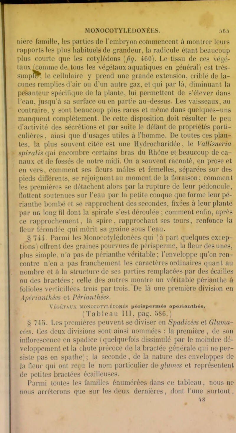 niore famille, les parties de l’embryon commencent à montrer leurs rapports les plus habituels de grandeur, la radicule étant beaucoup plus courte que les cotylédons {fît]. iCO). Le tissu de ces végé- tauxicomme de tous les végétaux aquatiques en général) est très- simple^, le cellulaire y prend une grande extension, criblé de la- cunes remplies d’air ou d’un autre gaz, et qui par là, diminuant la pesanteur spécifique de la plante, lui permettent de s’élever dans l’eau, jusqu’à sa surface ou en part:e au-dessus. Les vaisseaux, au contraire, y sont beaucoup plus rares et même dans quelques-uns manquent complètement. De cette disposition doit résulter le peu d’activité des sécrétions et par suite le défaut de propriétés parti- culières, ainsi que d’usages utiles à l’homme. De toutes ces plan- tes, la plus souvent citée est une Hydrocharidée, le Vallisneria spinilis qui encombre certains bras du Rhône et beaucoup de ca- naux et de fossés de notre midi. On a souvent raconté, en prose et en vers, comment ses fleurs mâles et femelles, séparées sur des pieds différents, se rejoignent au moment de la floraison; comment les premières se détachent alors par la rupture de leur pédoncule, llottent soutenues sur l’eau par la petite conque (pie forme leur pé- rianthe bombé et se rapprochent des secondes, fixées à leur plante par un long lil dont la spirale s’e^ déroulée ; comment enfin, après ce rapprochement, la spire, rapprochant ses tours, renfonce la fleur fécondée qui mûrit sa graine sous l’eau. 7ii. Parmi les Monocotylédonées qui (à part quelques excep- tions) offrent des graines pourvues de périsperme, la fleur des unes, plus simple, n’a pas de périanthe véritable; l’enveloppe qu’on ren- contre n’en a pas franchement les caractères ordinaires quant au nombre et à la structure de ses parties remplacées par des écailles ou des bractées; celle des autres montre un véritable périanthe à folioles verticillées trois par trois. De là une première division en Apérianlhées et Périunthées. VÉGÉTAUX MONOCOTYLÉDONÉS périspermés apérianthôs. (Tableau 111, pag. 586. ) § 7io. Les premières peuvent se diviser en Spadicées et Gluma- cées. Ces deux divisions sont ainsi nommées : la première , de son inflorescence en spadice (quelquefois dissimulé par le moindre dé- veloppement et la chute précoce de la bractée générale qui ne per- siste pas en spathe); la seconde, de la nature des enveloppes de la fleur qui ont reçu le nom particulier de glumes et représentent de petites bractées écailleuses. Parmi toutes les familles énumérées dans ce tableau, nous ne nous arrêterons que sur les deux dernières, dont l’une surtout, '18