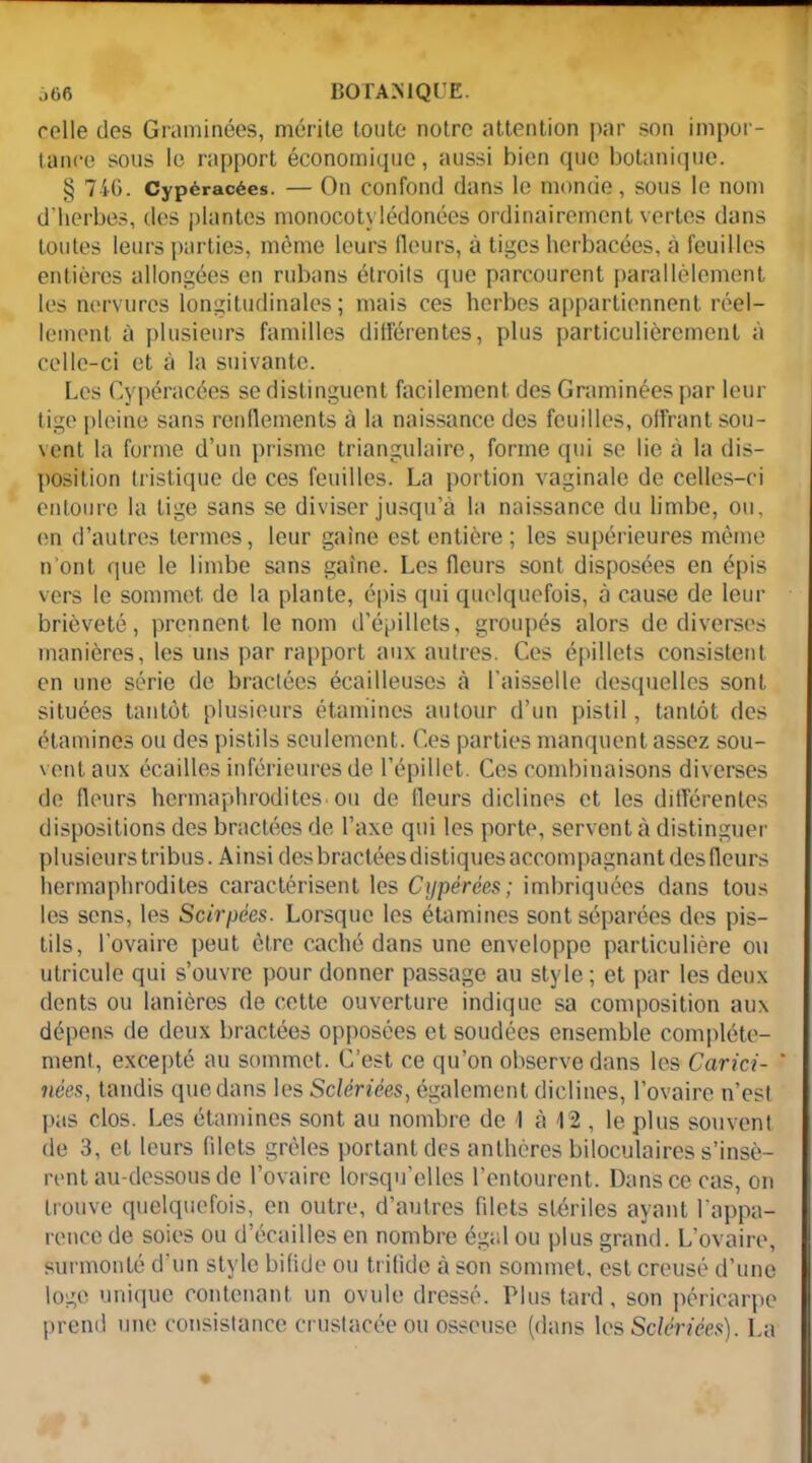 relie des Graminées, mérite toute notre attention par son impor- tance sous le rapport économique, aussi bien que botanique. § 746. Cypéracées. — On confond dans le monde, sous le nom d'herbes, des plantes monocotylédonées ordinairement vertes dans toutes leurs parties, même leurs fleurs, à tiges herbacées, à feuilles entières allongées en rubans étroits que parcourent parallèlement les nervures longitudinales; mais ces herbes appartiennent réel- lement à plusieurs familles différentes, plus particulièrement à celle-ci et à la suivante. Les Cypéracées se distinguent facilement des Graminées par leur tige pleine sans renflements à la naissance des feuilles, offrant sou- vent la forme d’un prisme triangulaire, forme qui se lie à la dis- position tristique de ces feuilles. La portion vaginale de celles-ci entoure la tige sans se diviser jusqu’à la naissance du limbe, ou, en d’autres termes, leur gaine est entière; les supérieures même n’ont que le limbe sans gaine. Les fleurs sont disposées en épis vers le sommet, de la plante, épis qui quelquefois, à cause de leur brièveté, prennent le nom d’épillets, groupés alors de diverses manières, les uns par rapport aux autres. Ces épillets consistent en une série de bractées écailleuses à l’aisselle desquelles sont situées tantôt plusieurs étamines autour d’un pistil, tantôt des étamines ou des pistils seulement. Ces parties manquent assez sou- vent aux écailles inférieures de l’épillet. Ces combinaisons diverses de fleurs hermaphrodites ou de fleurs diclines et les différentes dispositions des bractées de l’axe qui les porte, servent à distinguer plusieurs tribus. Ainsi des bractées distiques accompagnant des fleurs hermaphrodites caractérisent les Cypérées; imbriquées dans tous les sens, les Scirpées. Lorsque les étamines sont séparées des pis- tils, l'ovaire peut être caché dans une enveloppe particulière ou utricule qui s’ouvre pour donner passage au style ; et par les deux dents ou lanières de cette ouverture indique sa composition aux dépens de deux bractées opposées et soudées ensemble complète- ment, excepté au sommet. C’est ce qu’on observe dans les Carici- ' nées, tandis que dans les Sclériées, également diclines, l’ovaire n’est pas clos. Les étamines sont au nombre de I à 12 , le plus souvent de 3, et leurs fdets grêles portant des anthères biloculaires s’insè- rent au-dessous de l’ovaire lorsqu’elles l’entourent. Dans ce cas, on trouve quelquefois, en outre, d’autres fdets stériles ayant l'appa- rence de soies ou d’écailles en nombre égal ou plus grand. L’ovaire, surmonté d’un style bifide ou trilide à son sommet, est creusé d’une loge unique contenant un ovule dressé. Plus tard, son péricarpe prend une consistance crustacéeou osseuse (dans les Sclériées). La