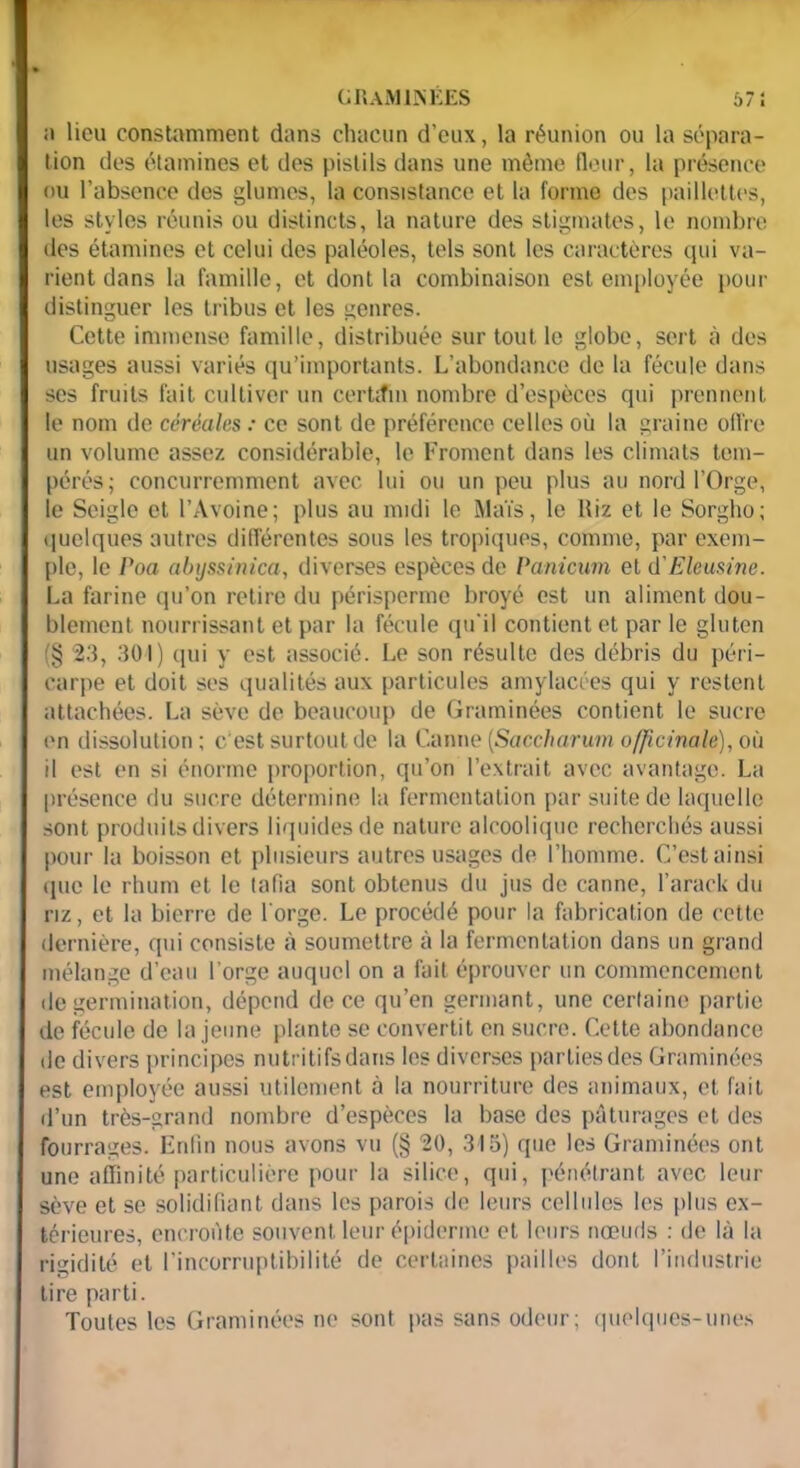 GRAMINÉES 57 i «1 lieu constamment dans chacun d’eux, la réunion ou la sépara- tion des étamines et des pistils dans une même fleur, la présence ou l’absence des glumes, la consistance et la forme des paillettes, les styles réunis ou distincts, la nature des stigmates, le nombre des étamines et celui des paléoles, tels sont les caractères qui va- rient dans la famille, et dont la combinaison est employée pour distinguer les tribus et les genres. Cette immense famille, distribuée sur tout le globe, sert à des usages aussi variés qu’importants. L’abondance de la fécule dans ses fruits fait cultiver un certifia nombre d’espèces qui prennent le nom de céréales : ce sont de préférence celles où la graine oil're un volume assez considérable, le Froment dans les climats tem- pérés; concurremment avec lui ou un peu plus au nord l’Orge, le Seigle et l’Avoine; plus au midi le Maïs, le Riz et le Sorgho; quelques autres différentes sous les tropiques, comme, par exem- ple, le Poa abyssinica, diverses espèces de Panicum et ô.' Ele usine. La farine qu’on retire du périsperme broyé est un aliment dou- blement nourrissant et par la fécule qu’il contient et par le gluten (§ 23, 301) qui y est associé. Le son résulte des débris du péri- carpe et doit ses qualités aux particules amylacées qui y restent attachées. La sève de beaucoup de Graminées contient le sucre en dissolution; c’est surtout de la Canne [Saccharum officinale), où il est en si énorme proportion, qu’on l’extrait avec avantage. La présence du sucre détermine la fermentation par suite de laquelle sont produits divers liquides de nature alcoolique recherchés aussi pour la boisson et plusieurs autres usages de l’homme. C’est ainsi que le rhum et le tafia sont obtenus du jus de canne, l’arack du riz, et la bierre de l’orge. Le procédé pour la fabrication de cette dernière, qui consiste à soumettre à la fermentation dans un grand mélange d’eau l’orge auquel on a fait éprouver un commencement de germination, dépend de ce qu’en germant, une certaine partie de fécule de la jeune plante se convertit en sucre. Cette abondance de divers principes nutritifs dans les diverses parties des Graminées est employée aussi utilement à la nourriture des animaux, et fait d’un très-grand nombre d’espèces la base des pâturages et des fourrages. Enfin nous avons vu (§ 20, 315) que les Graminées ont une affinité particulière pour la silice, qui, pénétrant avec leur sève et se solidifiant dans les parois de leurs cellules les plus ex- térieures, encroûte souvent leur épiderme et leurs nœuds : de là la rigidité et l’incorruptibilité de certaines pailles dont l’industrie lire parti. Toutes les Graminées ne sont pas sans odeur; quelques-unes