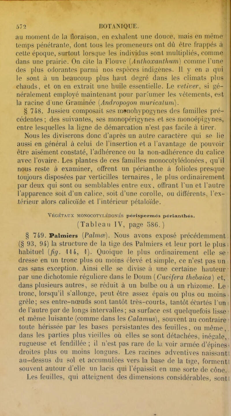 au moment de la lloraison, on exhalent une douce, mais en même temps pénétrante, dont tous les promeneurs ont dû être frappés à cette époque, surtout lorsque les individus sont multipliés, comme dans une prairie. On cite la Flouve (Anihoxantlmm) comme l’une des plus odorantes parmi nos espèces indigènes. 11 y en a qui le sont à un beaucoup plus liant degré dans les climats plus chauds, et on en extrait une huile essentielle. Le vétiver, si gé- néralement employé maintenant pour parfumer les vêtements, est la racine d’une Graminée (Andropogon muricatum). § 748. Jussieu composait sesmenohypogynes des familles pré- cédentes; des suivantes, ses monopérigynes et ses monoépigvnes, entre lesquelles la ligne do démarcation n’est pas facile à tirer. Nous les diviserons donc d’après un autre caractère qui se lie aussi en général à celui de l’insertion et a l’avantage de pouvoir être aisément constaté, l’adhérence ou la non-adhérence du calice avec l’ovaire. Les plantes de ces familles monocotylédonées, qu’il nous reste à examiner, offrent un périanthe à folioles presque toujours disposées par verticilles ternaires , le plus ordinairement par deux qui sont ou semblables entre eux, offrant l’un et l’autre l’apparence soit d’un calice, soit d’une corolle, ou différents, l’ex- térieur alors calicoïde et l’intérieur pétaloïde. VÉGÉTAUX MONOCOTYLÉDONÉS périspermés périanlhés. (Tableau IV, page 586.) § 749. Palmiers [Palmœ). Nous avons exposé précédemment (§ 93, 94) la structure de la tige des Palmiers et leur port le plus habituel [fig. 114, 1). Quoique le plus ordinairement elle se' dresse en un tronc plus ou moins élevé et simple, ce n’est, pas un cas sans exception. Ainsi elle se divise à une certaine hauteur par une dichotomie régidiere dans le Doum [Cucifera thebaica) et, dans plusieurs autres, se réduit à un bulbe ou à un rhizome. Le tronc, lorsqu’il s’allonge, peut être assez épais ou plus ou moins grêle; ses entre-nœuds sont tantôt très-courts, tantôt écartés l’un de l’autre par de longs intervalles; sa surface est quelquefois lisse et même luisante (comme dans les Calamus), souvent au contraire toute hérissée par les bases persistantes des feuilles, ou même, dans les parties plus vieilles où elles se sont détachées, inésale, rugueuse et fendillée ; il n’est pas rare de la voir armée d’épines- droites plus ou moins longues. Les racines adventives naissant au-dessus du sol et accumulées vers la base de la tige, forment souvent autour d’elle un lacis qui l’épaissit en une sorte de cône. Les feuilles, qui atteignent des dimensions considérables, sont