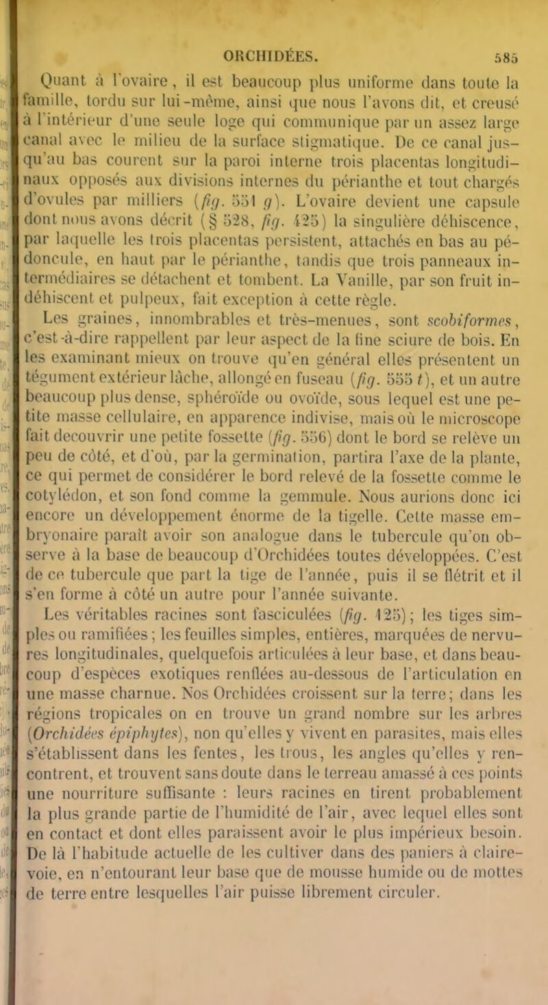 - - - - r - :■ IB; - ne - ■ - - de , ■ i ■ ni iill DIl ORCHIDÉES. 586 Quant à l’ovaire, il est beaucoup plus uniforme dans toute la famille, tordu sur lui-même, ainsi que nous l’avons dit, et creusé à l’intérieur d’une seule loge qui communique par un assez large canal avec le milieu de la surface stigmatique. De ce canal jus- qu’au bas courent sur la paroi interne trois placentas longitudi- naux opposés aux divisions internes du périanthe et tout chargés d’ovules par milliers (fig. 531 g). L’ovaire devient une capsule dont nous avons décrit (§ 528, fig. 425) la singulière déhiscence, par laquelle les trois placentas persistent, attachés en bas au pé- doncule, en haut par le périanthe, tandis que trois panneaux in- termédiaires se détachent et tombent. La Vanille, par son fruit in- déhiscent et pulpeux, fait exception à cette règle. Les graines, innombrables et très-menues, sont scobiformes, c’est-à-dire rappellent par leur aspect de la fine sciure de bois. En les examinant mieux on trouve qu’en général elles présentent un tégument extérieur lâche, allongé en fuseau (fig. 5551), et un autre beaucoup plus dense, sphéroïde ou ovoïde, sous lequel est une pe- tite masse cellulaire, en apparence indivise, mais où le microscope fait découvrir une petite fossette [fig. 336) dont le bord se relève un peu de côté, et d’où, par la germination, partira l’axe de la plante, ce qui permet de considérer le bord relevé de la fossette comme le cotylédon, et son fond comme la gemmule. Nous aurions donc ici encore un développement énorme de la tigelle. Celte masse em- bryonaire paraît avoir son analogue dans le tubercule qu’on ob- serve à la base de beaucoup d’Orchidées toutes développées. C’est de ce tubercule que part la tige de l’année, puis il se flétrit et il s’en forme à côté un autre pour l’année suivante. Les véritables racines sont fasciculées (fig. 125); les tiges sim- ples ou ramifiées; les feuilles simples, entières, marquées de nervu- res longitudinales, quelquefois articulées à leur base, et dans beau- coup d’espèces exotiques renflées au-dessous de l’articulation en une masse charnue. Nos Orchidées croissent sur la terre; dans les régions tropicales on en trouve Un grand nombre sur les arbres (Orchidées épiphytes), non qu’elles y vivent en parasites, mais elles s’établissent dans les fentes, les trous, les angles qu’elles y ren- contrent, et trouvent sans doute dans le terreau amassé à ces points une nourriture suffisante : leurs racines en tirent probablement la plus grande partie de l’humidité de l’air, avec lequel elles sont en contact et dont elles paraissent avoir le plus impérieux besoin. De là l’habitude actuelle de les cultiver dans des paniers à claire- voie, en n’entourant leur base que de mousse humide ou de mottes de terre entre lesquelles l’air puisse librement circuler.