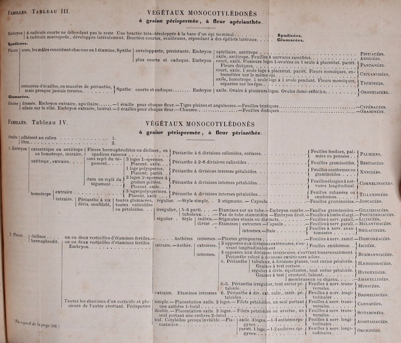 à graine périspermée , à fleur apérianthée. Embryon | à radicule courte ne débordant pas le reste Une bractée très-développée à la base d’un épi terminal. I à radicule macropode, développée latéralement. Bractées courtes, écailleuses, répondant à des épillets latéraux. Spadicées. Spadicécs. Crlumacées. Fleurs nues, les mâles consistant chacune en 1 étamine. Spathe enveloppante, persistante. Embryon I apicilaire, antitrope . . j , , . _ I axile, antitrope. Feuilles à nervures ramifiées plus courte et caduque. Embryon court, axile. Plusieurs loges 1-ovulées ou 1 seule à placentat. pariét Fleurs dioïques court, axile. 1 seule loge à placentat. pariét. Fleurs monoïques, en- tremêlées sur le même épi axile, liomotrope. 1 seule loge à 1 ovule pendant. Fleurs monoïques, entourées d'écailles, en manière de périanthe, 1 „ , séparées sur les épis mais presque jamais ternées J spathe courte et caduque Embryon | axile. Ovaire à plusieurs loges. Ovules demi-réfléchis Pistiacées. Aroidées. | Pandanées. | CyCLANTHÉES. | Typhinées. > Orontiacées. Glamacées. Graine ! dressee. Embryon extraire, apicilaire..... .—1 écaille pour chaque fleur.—Tiges pleines et anguleuses.—Feuilles tristiques. I adnee sur le cote. Embryon extraire, latéral.—2 écailles pour chaque fleur.—Chaume Feuilles distiques. .—Cypéracées. . —Graminées. Familles. Tableau IV Ovaire | adhérent au calice J libre 1. Embryon 1. 2. VÉGÉTAUX MONOCOTYLÉDONÉS à graine périspermée , à fleur périanthée. excentrique ou antitrope ( Fleurs hermaphrodites ou diclines, en . f Feuilles fendues Dal-1 on homotropc, intraire. I spadices rameux . } Penanthe a 6 divisions calicoides, coriaces { mé^soupennées } antitrope , extraire. homotrope 1 extraire 1 intraire. sans repli du té- gument. dans un repli du tégument . . . Palmiers. pfacent.^axile. . } Périanthe à 2-6 divisions calicoïdes j Feuilles graminoïdes. j Restiacées. 1 PlacentySpariét.' . } Périanthe à divisions internes pétaloïdes j F^^ff^°rmeSOU } Xyridées. 3 loges 2-spermes à 1 graines peltées. J. Périanthe à divisions internes pétaloïdes ) Feuillesélargies à ner- I Commelinacées. Périanthe à six divis. semblabl. Placent, axile. . . ) ( 3 logespolyspermes. Ip. j , \ Placent, axile . . . / Penanthe toutes glumacëes, toutes calicoïdes ou pétaloïdes. . . | vures longitudinal, j à divisions internes pétaloïdes.. . ! /Feuilles rubanées ou l Tillanbsïées. ( ensiformes / régulier. .—Style simple. . 3 stigmates. — Capsule —Feuilles graminoïdes.—Joncacées. irrégulier, 1 5-6 parti. , | tubuleux. régulier. . Style I indivis.— Stigmates réunis ou distincts —Feuilles à nerv. paraïl.—Liliacées -Etamines sur un tube.—Embryon courbe.—Feuilles graminoïdes.—Gilliesiacees. — Pas de tube staminifèré —Embryon droit.—Feuilles à limbe élargi.—Pontederiacées. divisé .— Etamines Fleurs. i diclines .... I bermaphrodit. un ou deux verticilles d’étamines fertiles.— Anthères un ou deux verticilles d’étamines fertiles. Embryon intraire.—Antlièr. introrses. extrorses. introrses. extrorses.—Capsule —Feuilles à nerv. paraît.—Mélanthacées. I Feuilles à nerv. anas- ) Smilacinées. ( tomosees j -Plantes grimpantes —Feuilles à nerv. ramif.—Dioscoréacées. * ! F““'“ ■ I 3 opposées aux divisions intérieures, s’ouvrant transversalement. j nnosummipiivs Périanthe coloré à divisions extérieures ailées / ' ' 6. Périanthe 1 -'IJ—-- 1 ‘ —- Toutes les étamines d’un verticille et plu- sieurs de l’autre avortant. Périsperme 'B» nür<l j„ Vr- 586 .) tubuleux, à divisions planes, tout entier pétaloïde. 1 HæmodoracÉes. Grandes a test coriace j régulier à divis. équitantes, tout entier pétaloïde. 1 HypoxydéES Grailles à test I crustacé, luisant / I membraneux ou charnu —Amaryllidées. 6-5. Périanthe irrégulier, tout entier pé-f Feuilles à nerv.trans- 1 — • taloïde. j ( versales / extraire. Etamines introrses 6. Périanthe à div. ext. calic., intér. pé- / Feuilles à nerv. longi- i j3ROMELIACéES taloïdes ( tudinales / D ' simple.— Placentation axile. 3 loges.— Filets pétaloïdes, un seul portant | Feuilles à nerv. trans- 1 ( une anthère 1-locul ( versales j double.—Placentation axile. 3 loges.—Filets pétaloïdes on avortés, un / Feuilles à nerv. trans- seul portant une anthère 2-locul ; ( versales nul. Cotylédon presqu’invisible.—Pla- I axile. 31ogesj—1-3 anthères épi- / Feuilles à nerv. longi- ( Apostasiacées centalion gynes.. . ; ( tudinales / pariét. 1 loge:—1-2 anthères épi- / Feuilles à nerv. longi- I orchidée* I gynes.. . j . \ tudinales / ^ Cannacees. J SCITAMINÉES.