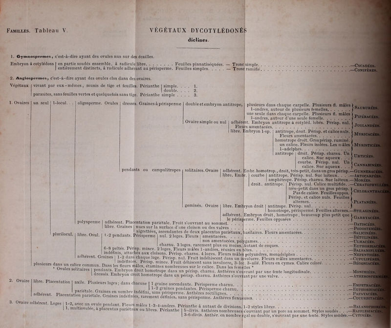 diclines. 1. Gymnospermes, c'est-à-dire ayant des ovules nus sur des écailles. Embryon à cotylédons en partie soudés ensemble, à radicule libre Feuilles pinnatiséquées. entièrement distincts, à radicule adhérant au périsperme. Feuilles simples Tronc Tronc 2. Angiospermes, c’est-à-dire ayant des ovules clos dans des ovaires. Végétaux 1. Ovaires vivant par eux-mêmes, munis de tige et feuilles. Périanthe I simple. ... 1. I double. ... 2. parasites, sans feuilles vertes et quelquefois sans tige. Périantlie simple .... 3. un seul 1-locul. oligosperme. Ovules dressés. Graines à périsperme double etembryon antitrope, Ovaire simple ou nul simP,e- —Cycadées. ramifié —Conifères. plusieurs dans chaque carpelle. Plusieurs fl. mâles 1 „ 1-andres, autour de plusieurs femelles j>.aururees. une seule dans chaque carpelle. Plusieurs fi. mâles 1 p , 1-andres, autour d’une seule femelle y PIPERAiæ^B adhérent. Embryon antitrope à cotyléd. lobés. Périsp. nul. 1 T . Fleurs amentacées / Juglandees. libre. Embryon 1-sp. ' pendants ou campulitropes solitaires. Ovaire adhérent, libre. Emb Fleurs amentacées j Myricacees. 1 homotrope droit. Gros périsp. ruminé, j un calice. Fleurs isolées. Les mâles > Myristicées. 1-adelphes ) antitrope j droit. Périsp. charnu. Un ) TT ; calice. Suc aqueux . . . / urtICEES,M courbe. Périsp. nul. Un 1 „ calice. Suc aqueux . . . } CannabineesJ îmbr. homotrop., droit, très-petit, dans un gros périsp.—Gunneracées. géminés. Ovaire plurilocul. polysperme libre. Ovul. adhérent. Placentation pariétale. Fruit s’ouvrant au sommet, libre. Graines I nues sur la surface d’une cloison ou des valves -2 pendants. Périsperme nul. 2 loges. Fleurs I amentacées. antitrope, droit. Périsp. et calicenuls. courbe | antitrope. Périsp. nul. Suc laiteux. . . .—Artocarpées. amphitrope. Périsp. charnu. Suc laiteux.—Morées. droit, antitrope. Périsp. nul. Calice multifide. .—Ceratophyit très-petit dans un gros périsp. 1 „ Pas de calice. Feuilles oppos. | ChloranthaS Périsp. et calice nuis. Feuilles ) alternes VPlatanÉES. libre. Embryon droit I antitrope. Périsp. nul j homotrope, périspermé. Feuilles alternes.—Stilaginées. Embryon droit, homotrope . beaucoup plus petit que j Garryac^^B —Datiscées. PODOSTEMÉES. adhérent, le périsperme. Feuilles opposées aigrettées, ascendantes de deux placentas pariétaux, basilaires. Fleurs amentacées —Salicinées. -Be;tulinées. non amentacées, polygames —Ulmacées. Autant de coques, .êtes. charnu. 3 loges, rarement plus ou moins 6-8 peltés. Périsp. mince. 2 loges. Fleurs mâles 1-andres, réunies en „ indéfinis, afflfechés aux cloisons. Périsp. charnu. 4 loges. Fleurs mâles nolyandres, monadelphes r eren . rames 1-2 dans chaque loge. Périsp. nul. Fruit indéhiscent, dans un iuvolucre. Fleurs mâles amentacées plusieurs dans un r-oiiVo „„„ m J indéfinies. Périsp. mince. Fruit déhiscent sans involucre, 3-loc. 3-ailé. Fleurs en cymes 1 leurs “a®s_un_calice commun. Dans les fleurs males, etamines nombreuses sur le calice. Dans les fera (lies * 2. Ovaire es so i aires I pendants. Embr y on droit homotrope dans un périsp. charnu. Anthères s’oi vrant par une fente longitudinale. I dresses. Embryon droit homotrope dans un périsp. charnu. Anthères s’ouvifant par une valve. libre. Placentation axile. Plusieurs loges; dans chacune | 1 graine ascendante. Périsperme charnu. 1-2 graines pendantes. Périsperme charnu. adhérent Placer, ta tF™ ™ m “ “.°?l>Ie.indéfini, sails Périsperme. Anthères rectilignes. erent. Placentation pariétale. Graines indéfinies, rarement définies, sans périsperme. Anthères fiexuiuses. Ovaire adhérent. Loges I 1-2, avec un ovule pendant. Fleurs mâles 1 1, multiovulée, à placentas pariétaux ou lib -3-4-andres. Périanthe à autant de divisions. 1 libres. Périanthe I 5-divis. Anthères nombreuses | 3-6-divis. Anthèr. en nombre — EUPHORBIAG' — BàLSAMIFLuF —Nepenthées. — Cupueifères. Calice coloré —Bégoniacées. . - Monimiées. . — Atherosperm . —Empetracées. .—Euphorbtacé Papayacées. .—CUCURBITACK 1-2 styles libres —Balanopiioré s’ouvrant par un pore au sommet. Styles soudés . . .—RafflesiacéeS gai ou double, s’ouvrant par une lente. Styles soudés.—Cytinées.