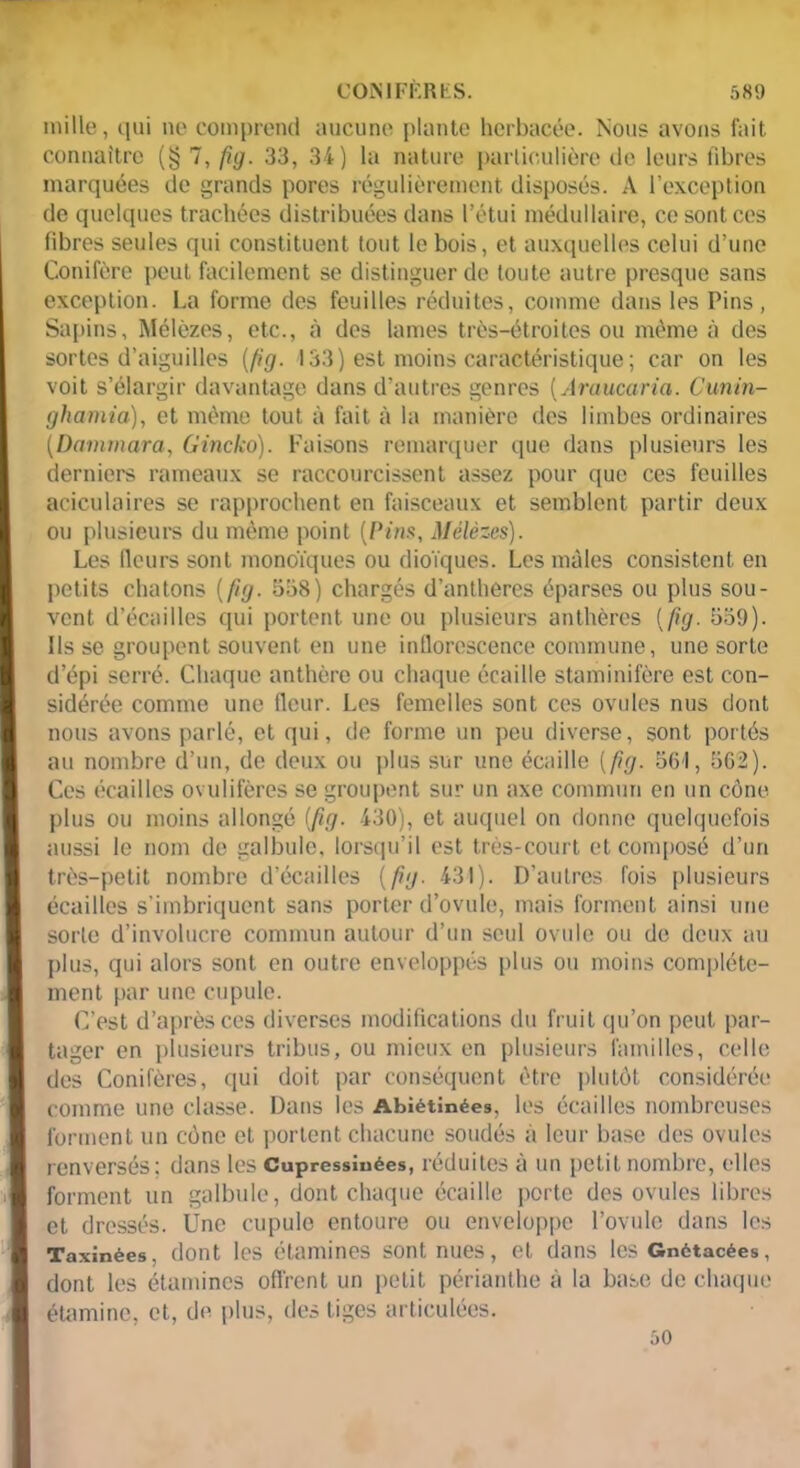 mille, qui ue comprend aucune plante herbacée. Nous avons fait connaître (§ 7, fig. 33, 34) la nature particulière de leurs fibres marquées de grands pores régulièrement disposés. A l’exception de quelques trachées distribuées dans l’étui médullaire, ce sont ces fibres seules qui constituent tout le bois, et auxquelles celui d’une Conifère peut facilement se distinguer de toute autre presque sans exception. La forme des feuilles réduites, comme dans les Pins, Sapins, Mélèzes, etc., «à des lames très-étroites ou même à des sortes d’aiguilles (fig. 133) est moins caractéristique; car on les voit s’élargir davantage dans d’autres genres (Araucaria. Cunin- ghamia), et même tout à fait à la manière des limbes ordinaires (Dammara, Gincko). Faisons remarquer que dans plusieurs les derniers rameaux se raccourcissent assez pour que ces feuilles aciculaires se rapprochent en faisceaux et semblent partir deux ou plusieurs du même point (Pins, Mélèzes). Les fleurs sont monoïques ou dioïques. Les mâles consistent en petits chatons (fig. 558) chargés d’anthéres éparses ou plus sou- vent d’écailles qui portent une ou plusieurs anthères (fig. 559). Ils se groupent souvent en une inflorescence commune, une sorte d’épi serré. Chaque anthère ou chaque écaille staminifère est con- sidérée comme une fleur. Les femelles sont ces ovules nus dont nous avons parlé, et qui, de forme un peu diverse, sont portés au nombre d’un, de deux ou plus sur une écaille (fg. 564, 562). Ces écailles ovulifères se groupent sur un axe commun en un cône plus ou moins allongé (fig. 430), et auquel on donne quelquefois aussi le nom de galbule, lorsqu’il est très-court et composé d’un très-petit nombre d’écailles (fg. 431). D’autres fois plusieurs écailles s’imbriquent sans porter d’ovule, mais forment ainsi une sorte d’involucre commun autour d’un seul ovule ou de deux au plus, qui alors sont en outre enveloppés plus ou moins complète- ment par une cupule. C’est d’après ces diverses modifications du fruit qu’on peut par- tager en plusieurs tribus, ou mieux en plusieurs familles, celle des Conifères, qui doit par conséquent être plutôt considérée comme une classe. Dans les Abiétinées, les écailles nombreuses forment un cône et portent chacune soudés a leur base des ovules renversés: dans les Cupressiuées, réduites à un petit nombre, elles forment un galbule, dont chaque écaille porte des ovules libres et dressés. Une cupule entoure ou enveloppe l’ovule dans les Taxinées, dont les étamines sont nues, et dans les Gnétacées, dont les étamines offrent un petit périanthe à la base de chaque étamine, et, de plus, des tiges articulées. 50