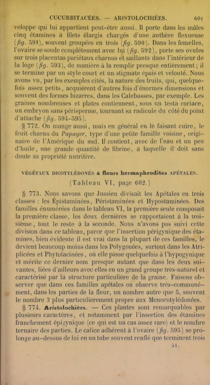 veloppe qui lui appartient peut-être aussi. 11 porte clans les mâles cinq étamines à filets élargis chargés d’une anthère tlexueuse [fig. 591), souvent groupées en trois (fig. 590). Dans les femelles, l’ovaire se soude complètement avec lui [fig. 592), porte ses ovules sur trois placentas pariétaux charnus et saillants dans l’intérieur de la loge [fig. 593), de manière à la remplir presque entièrement; il se termine par un style court et un stigmate épais et velouté. Nous avons vu, par les exemples cités, la nature des fruits, qui, quelque- fois assez petits, acquièrent d’autres fois d’énormes dimensions et souvent des formes bizarres, dans les Calebasses, par exemple. Les graines nombreuses et plates contiennent, sous un testa coriace, un embryon sans périsperme, tournant sa radicule du côté du point d’attache [fig. 594-595). § 772. On mange aussi, mais en général en le faisant cuire, le fruit charnu du Papayer, type d’une petite famille voisine, origi- naire de l’Amérique du sud. 11 contient, avec de l’eau et un peu d’huile, une grande quantité de fibrine, à laquelle il doit sans doute sa propriété nutritive. VÉGÉTAUX DICOTYLEDONES à fleurs hermaphrodites APÉTALES. (Tableau VI, page 602.) § 773. Nous savons que Jussieu divisait les Apétales en trois classes : les Épistaminées, Péristaminées et Hypostaminées. Des familles énumérées dans le tableau VI, la première seule composait la première classe, les deux dernières se rapportaient à la troi- sième , tout le reste à la seconde. Nous n’avons pas suivi cette division dans ce tableau, parce que l’insertion périgynique des éta- mines, bien évidente il est vrai dans la plupart de ces familles, le devient beaucoup moins dans les Polygonées, surtout dans les Atri- plicées et Phytolacinées, où elle passe quelquefois à l’hypogynique et mérite ce dernier nom presque autant que dans les deux sui- vantes, liées d’ailleurs avec elles en un grand groupe très-naturel et caractérisé par la structure particulière de la graine. Faisons ob- server que dans ces familles apétales on observe très-communé- ment, dans les parties de la fleur, un nombre autre que 5, souvent le nombre 3 plus particulièrement propre aux Monoc.otylédonées. § 774. Aristolochiées. — Ces plantes sont remarquables par plusieurs caractères, et notamment par l’insertion des étamines franchement épigynique (ce qui est un cas assez rare) et le nombre ternaire des parties. Le calice adhérent à l’ovaire [fig. 595) se pro- longe au-dessus de lui en un tube souvent renllé que terminent (rois