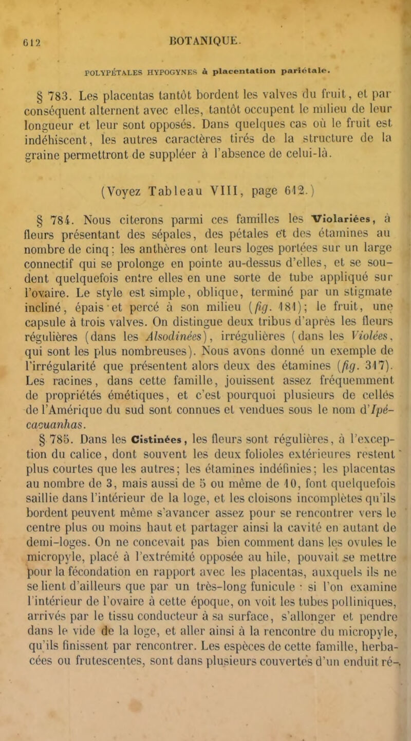 POLYPÉTALES HYPOGYNES à placentation pariétale. § 783. Les placentas tantôt bordent les valves du fruit, et par conséquent alternent avec elles, tantôt occupent le milieu de leur longueur et leur sont opposés. Dans quelques cas où le fruit est. indéhiscent, les autres caractères tirés de la structure de la graine permettront de suppléer à l’absence de celui-là. (Voyez Tableau VIII, page 612.) § 784. Nous citerons parmi ces familles les Vîolarîées, à fleurs présentant des sépales, des pétales e't des étamines au nombre de cinq: les anthères ont leurs loges portées sur un large connectif qui se prolonge en pointe au-dessus d’elles, et se sou- dent quelquefois entre elles en une sorte de tube appliqué sur l’ovaire. Le style est simple, oblique, terminé par un stigmate incliné, épais et percé à son milieu (fig. 181); le fruit, une capsule à trois valves. On distingue deux tribus d’après les fleurs régulières (dans les Alsodinées), irrégulières (dans les Violées. qui sont les plus nombreuses). Nous avons donné un exemple de l’irrégularité que présentent alors deux des étamines [fig. 317). Les racines, dans cette famille, jouissent assez fréquemment de propriétés émétiques, et c’est pourquoi plusieurs de celles de l’Amérique du sud sont connues et vendues sous le nom d'Ipè- cacuanhas. § 785. Dans les Cistinées, les fleurs sont régulières, à l’excep- tion du calice, dont souvent les deux folioles extérieures restent' plus courtes que les autres; les étamines indéfinies; les placentas au nombre de 3, mais aussi de 5 ou même de 10, font quelquefois saillie dans l’intérieur de la loge, et les cloisons incomplètes qu’ils bordent peuvent même s’avancer assez pour se rencontrer vers le centre plus ou moins haut et partager ainsi la cavité en autant de demi-loges. On ne concevait pas bien comment dans les ovules le micropyle, placé à l’extrémité opposée au hile, pouvait se mettre pour la fécondation en rapport avec les placentas, auxquels ils ne se lient d’ailleurs que par un très-long funicule • si l’on examine l’intérieur de l’ovaire à cette époque, on voit les tubes polliniques, arrivés par le tissu conducteur à sa surface, s’allonger et pendre dans le vide de la loge, et aller ainsi à la rencontre du micropyle, qu’ils finissent par rencontrer. Les espèces de cette famille, herba- cées ou frutescentes, sont dans plusieurs couvertes d’un enduit ré-