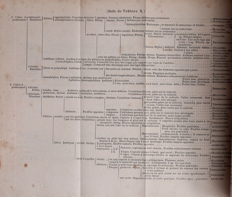 préfloraison 3. Calice à préfloraison (Suite du Tableau X.) ’ Etamines '■définies! 0PP0S(Pcî_ta'es- Carpelles distincts 1-spermes. Graines réniformes. Fleurs dicli J ) alternipétales ou doubles, libres. Périsp. charnu. Fleurs I diclines par avor nés par avortement, drtement hermaphrodites soudées corné. Styles soudés. Endocarpe entre elles. Fleurs régulières. Périsp. j valvaire. Etamines valvaire. Pollen. imbriquée. Etamines irrégulières. Périsp . , . . avec les pétales ou libres. Périsp. charnu indéfinies libres, soudées à la base des pétales ou polyadelphes. Calice simple. . . | monadelphes. Calice I involucré. Connectif très-peu développé par rappo | simple. Connectif très-développé avec des loges libres ou polyadelpli. Anthères 2-loc. s’ouvrant par des pores au sommet. Pétales | restant uni au mésocarpe testant uni au mésocarpe corné. Styles distincts, ^terminale définie. 3-5 luges 2- Inllorcscence ] sp. Pétales simples | axillaire Une seule loge (par I avort.) 1-sp. Pétales ap- | pendiculés charnu.Styles I distincts Infloresc. terminale définie.. | soudés. Graines I non ailées ■ | ailées charnu. Graines caronculées. Anthères souvent 1-loc.- Drupe. Placent, quelquefois centrale. Anthères 2-loc. i très- it aux loges de l'anthère, petites des fentes longitudinales.. Pétales monadelphes. Fleurs apétalees, diclines par avortement | pétalées, hermaphrodites. Anthères I 2-loculaires .... I 1-loc. (avec étam. indéfin. 11 tiers avec des étamines opposées par paires i cisés. Etamines multiples ’ entiers. Etamines ordinairement indéfinies Pollen lisse, globuleux. Pollen lisse, globuleux. ou2-locul. (avec étam. défin.) Pollen lisse, trièdre. . . trièdre, lisse. . . . Anthères quelquefois biloculaires, et alors définies. Cotylédons foh globuleux, hérissé. Anthères 1-loculaires, indéfinies Cotylédons fol indéfinies. Styles soudés ou nuis. Feuilles simples distincts . alternes. Cotylédons distincts | définies, opposées. . Cotylédons soudés en Feuilles opposées | composées. Cotylédons presque n „ , , ,, , „ I simples... Cotylédons suivant 1’ soudees | par les anthères. Cotylédons droits et épais. Capsule à 5 loges 1 n n r Inc fllnfc F1 __ i • . < . î i i ® I par les filets. Cotylédons plissés dans leur longueur et pliés sur ]ji réceptacle oblong. Fleurs régulières oi droits, suivant l’axe de la radicule. libres. Embryon courbé. Ovules droit. Carpelles courbes ou pliés sur eux-mêmes. Ordi charnu 2-3-loc. Dans chaque loge 1 o 2 juxtaposés. Double samare. Feuilles 1 seul dressé . . . ) „ superposés. I 2-3, j samares, capsules 3 loges. Capsule cori; 5 loges. Coques à er alternes.... I réunis. . I en une capsule à plusieurs 1 I jusqu’à la maturité qui les sép distincts i Coques à endocarpe bivalve, su | Drupes plusieurs. Styles ’dii; une seule. Stigmate s)i Ménispermac -Zanthoxylé Linacées. Endocarpe | se séparant du mésocarpe et bivalve.. . .—Diosmées! d’^ „ . ’ t * —Rutacees. —Zygophyllées.Î 1 | Erythroxy —OXALIDÉES. —MÉLIACÉES ( — CÉDRÉLACÉES. —Polygalées. —Olacinées. - Ternstrœmiü - Chlenacées. —Humiriacées. —TrÉM ANDRÉE —Elæocarpée —Tjliacées. —Stercuuacêi —Byttneriacé / Bombacées. acés, pliés sur la radicule I acés, pliés sur la radicule. —Malvacées. savant 1 axe de la radicule. Calice accrescent dont)--. deux lobes très-allongés > DipterocarPB uclquelois pliés sur la radicule, beaucoup plus courte)™ qu’eux. Calice non accrescent j Ternstrœmia oits, petits, plus courts que la radicule —Marcgraviac tre eux, droits —Guttifères. uls, plies sur la radicule très-développée —RhizoboléesI axe de la radicule, aussi larges qu’elle —HypéricinéSi Sp- Isostémonie. Fleurs irrégulières —Balsamikées. dr< radicule. 5 carpelles accolés avec leurs styles à un | -, .a irrégulières _ j Geraniacee Diblostémonie. Mqïostémonie Hespéridie. Feuilles ponctuées —AurantiacÉE Fruit charnu ou caps. Feuilles compo-),-.. ■ 1 sées, non ponctuées j MELIACEEM ordinairement 3-andrie). 3 samares ou ) TT baie 3-locul. Feuilles simples opposées.’ | H1PPOCRAT4 mûrement diplostémonie. Samares , coques ou fruit ) . . , vuîe lycotrope. Feuilles simples opposées. /MALPItâ^^M ‘posées. —AcÉRINÉES. oj lruit charnu. Feuilles ordinairement alternes ace 1-locul. Ipar avort.). Feuilles opposées. docarpe bivalve se séparant du mésocarpe. Feuilles s polyspermes. Plusieurs styles are, indéhiscents, 1-sp. Un seul style ' séparant du mésocarpe. Feuilles ponctuées tincts à la base et partant du sommet des ovaires. ovule pendant * nis en un seul, inséré sur un ovaire gynobasique. 1 ivule dressé essile. 2 ovules pendants. Feuilles oppos., ponctuées.- —SapindacéÈ —Hitpocasta Diosmées (C —Elatinées. —T ropæolée! —Diosmées | j- Simarubées. [ OCHNACÉES. -Amyrihées.