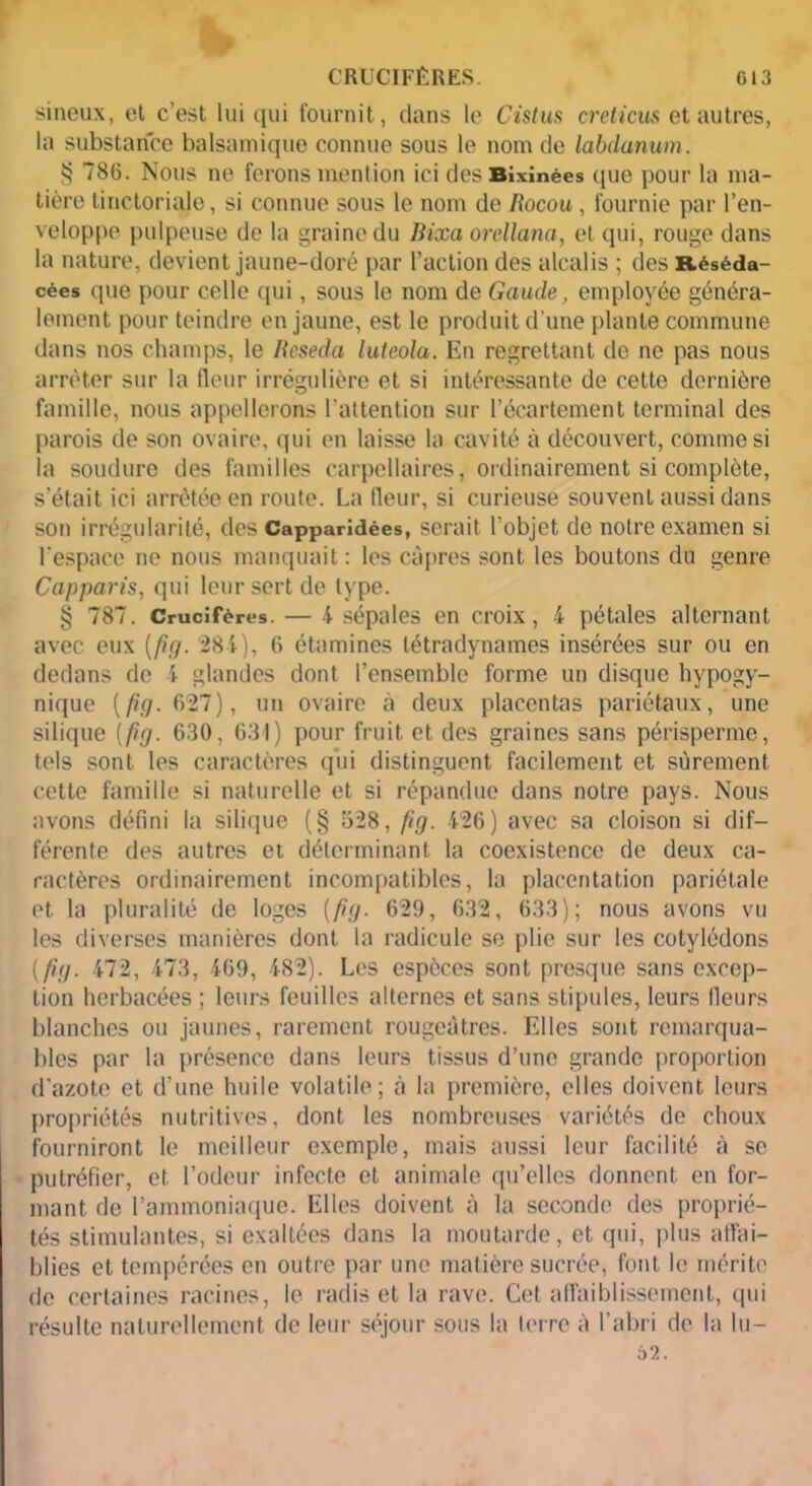 G13 W ' CRUCIFÈRES sineux, et c’est lui qui fournit, dans le Cistus creticus et autres, la substance balsamique connue sous le nom de labdanum. § 786. Nous ne ferons mention ici des Bîxînées que pour la ma- tière tinctoriale, si connue sous le nom de Rocou , fournie par l’en- veloppe pulpeuse de la graine du Bixa orellana, et qui, rouge dans la nature, devient jaune-doré par l’action des alcalis ; des Réséda- cées que pour celle cpii, sous le nom de Gaude, employée généra- lement pour teindre en jaune, est le produit d’une plante commune dans nos champs, le Rcseda lutcola. En regrettant de ne pas nous arrêter sur la fleur irrégulière et si intéressante de cette dernière famille, nous appellerons l’attention sur l’écartement terminal des parois de son ovaire, qui en laisse la cavité à découvert, comme si la soudure des familles carpellaires, ordinairement si complète, s’était ici arrêtée en routé. La (leur, si curieuse souvent aussi dans son irrégularité, des Capparîdées, serait l’objet de notre examen si l’espace ne nous manquait : les câpres sont les boutons du genre Capparis, qui leur sert de type. § 787. Crucifères. — 4 sépales en croix, 4 pétales alternant avec eux [fig. 28 4), 6 étamines létradynames insérées sur ou en dedans de 4 glandes dont l’ensemble forme un disque hypogy- nique [fig. 627), un ovaire à deux placentas pariétaux, une silique (fig. 630, 631) pour fruit et des graines sans périsperme, tels sont les caractères qui distinguent facilement et sûrement cette famille si naturelle et si répandue dans notre pays. Nous avons défini la silique (§ 528, fig. 426) avec sa cloison si dif- férente des autres et déterminant la coexistence de deux ca- ractères ordinairement incompatibles, la placentation pariétale et la pluralité de loges (fig. 629, 632, 633); nous avons vu les diverses manières dont la radicule se plie sur les cotylédons (fig. 472, 473, 469, 482). Les espèces sont presque sans excep- tion herbacées ; leurs feuilles alternes et sans stipules, leurs (leurs blanches ou jaunes, rarement rougeâtres. Elles sont remarqua- bles par la présence dans leurs tissus d’une grande proportion d’azote et d’une huile volatile; à la première, elles doivent leurs propriétés nutritives, dont les nombreuses variétés de choux fourniront le meilleur exemple, mais aussi leur facilité à se putréfier, et l’odeur infecte et animale qu’elles donnent en for- mant de l’ammoniaque. Elles doivent à la seconde des proprié- tés stimulantes, si exaltées dans la moutarde, et qui, plus affai- blies et tempérées en outre par une matière sucrée, font le mérite de certaines racines, le radis et la rave. Cet affaiblissement, qui résulte naturellement de leur séjour sous la (erre à l’abri de la lu-