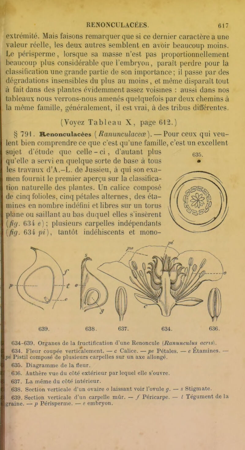 RENONCULACÉIL. 6)7 extrémité. Mais faisons remarquer que si ce dernier caractère a une valeur réelle, les deux autres semblent en avoir beaucoup moins. Le périsperme, lorsque sa masse n’est pas proportionnellement beaucoup plus considérable que l'embryon, paraît perdre pour la classification une grande partie de son importance; il passe par des dégradations insensibles du plus au moins, et même disparaît tout à fait dans des plantes évidemment assez voisines : aussi dans nos tableaux nous verrons-nous amenés quelquefois par deux chemins à la même famille, généralement, il est vrai, à des tribus différentes. (Voyez Tableau X, page 612.) § 791. Renonculacées ( fianunculaceœ). — Pour ceux qui veu- lent bien comprendre ce que c’est qu’une famille, c’est un excellent sujet d’étude que celle-ci, d’autant plus 633 qu’elle a servi en quelque sorte de base à tous • les travaux d’A.-L. de Jussieu, à qui son exa- men fournit le premier aperçu sur la classifica- tion naturelle des plantes. Un calice composé de cinq folioles, cinq pétales alternes, des éta- mines en nombre indéfini et libres sur un torus plane ou saillant au bas duquel elles s’insèrent (fiçj. 631 e) ; plusieurs carpelles indépendants (fig. 63f pi), tantôt indéhiscents et mono- 639. 638. 637. 634. 636. 634-639. Organes de la fructification d’une Renoncule [Ranunculus acns). 0 /• 634. Fleur coupée verticalement. — c Calice. — pe Pétales. — e Etamines. — pi Pistil composé de plusieurs carpelles sur un axe allongé. 635. Diagramme de la fleur. 636. Anthère vue du côté extérieur par lequel elle s’ouvre. 637. La même du côté intérieur. 638. Section verticale d’un ovaire o laissant voir l’ovule g. — s Stigmate. 639. Section verticale d’un carpelle mûr. — / Péricarpe. — t Tégument de la graine. — p Périsperme. — e embryon.