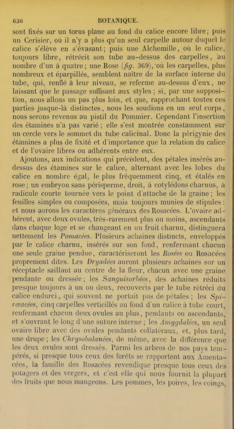 sont fixés sur un torus plane au fond du calice encore libre; puis un Cerisier, où il n’y a plus qu’un seul carpelle autour duquel le calice s’élève en s’évasant; puis une Alchemille, où le calice, toujours libre, rétrécit son tube au-dessus des carpelles, au nombre d’un à quatre; une Rose [fig. 369),'où les carpelles, plus nombreux et éparpillés, semblent naitre de la surface interne du tube, qui, renflé à leur niveau, se referme au-dessus d’eux, ne laissant que le passage suffisant aux styles ; si, par une supposi- tion, nous allons un pas plus loin, et que, rapprochant toutes ces parties jusque-là distinctes, nous les soudions en un seul corps, nous serons revenus au pistil du Pommier. Cependant l’insertion des étamines n’a pas varié ; elle s’est montrée constamment sur un cercle vers le sommet du tube calicinal. Donc la périgynie des étamines a plus de fixité et d’importance que la relation du calice et de l’ovaire libres ou adhérents entre eux. Ajoutons, aux indications qui précèdent, des pétales insérés au- dessus des étamines sur le calice, alternant avec les lobes du calice en nombre égal, le plus fréquemment cinq, et étalés en rose ; un embryon sans périsperme, droit, à cotylédons charnus, à radicule courte tournée vers le point d’attache de la graine; les feuilles simples ou composées, mais toujours munies de stipules: et nous aurons les caractères généraux des Rosacées. L’ovaire ad- hérent, avec deux ovules, très-rarement plus ou moins, ascendants dans chaque loge et se changeant en un fruit charnu, distinguera nettement les Pomacées. Plusieurs achaines distincts, enveloppés par le calice charnu, insérés sur son fond, renfermant chacun une seule graine pendue, caractériseront les Rosées ou Rosacées proprement dites. Les Dn/adées auront plusieurs achaines sur un réceptacle saillant au contre de la (leur, chacun avec une graine pendante ou dressée; les Sanguisorbées, des achaines réduits presque toujours à un ou deux, recouverts par le tube rétréci du calice endurci, qui souvent ne portait pas de pétales ; les Spi- rœacées, cinq carpelles verticillés au fond d'un calice à tube court., renfermant chacun deux ovules au plus, pendants ou ascendants, et s’ouvrant le long d’une suture interne ; les Amygdalécs, un seul ovaire libre avec des ovules pendants collatéraux, et, plus tard, une drupe ; les Chrysobalanées, de même, avec la différence que les deux ovules sont dressés. Parmi les arbres de nos pays tem- pérés, si presque tous ceux des forêts se rapportent aux Amenta- cées, la famille des Rosacées revendique presque tous ceux des potagers et des vergers, et c’est elle qui nous fournit la plupart des fruits que nous mangeons. Les pommes, les poires, les coings,