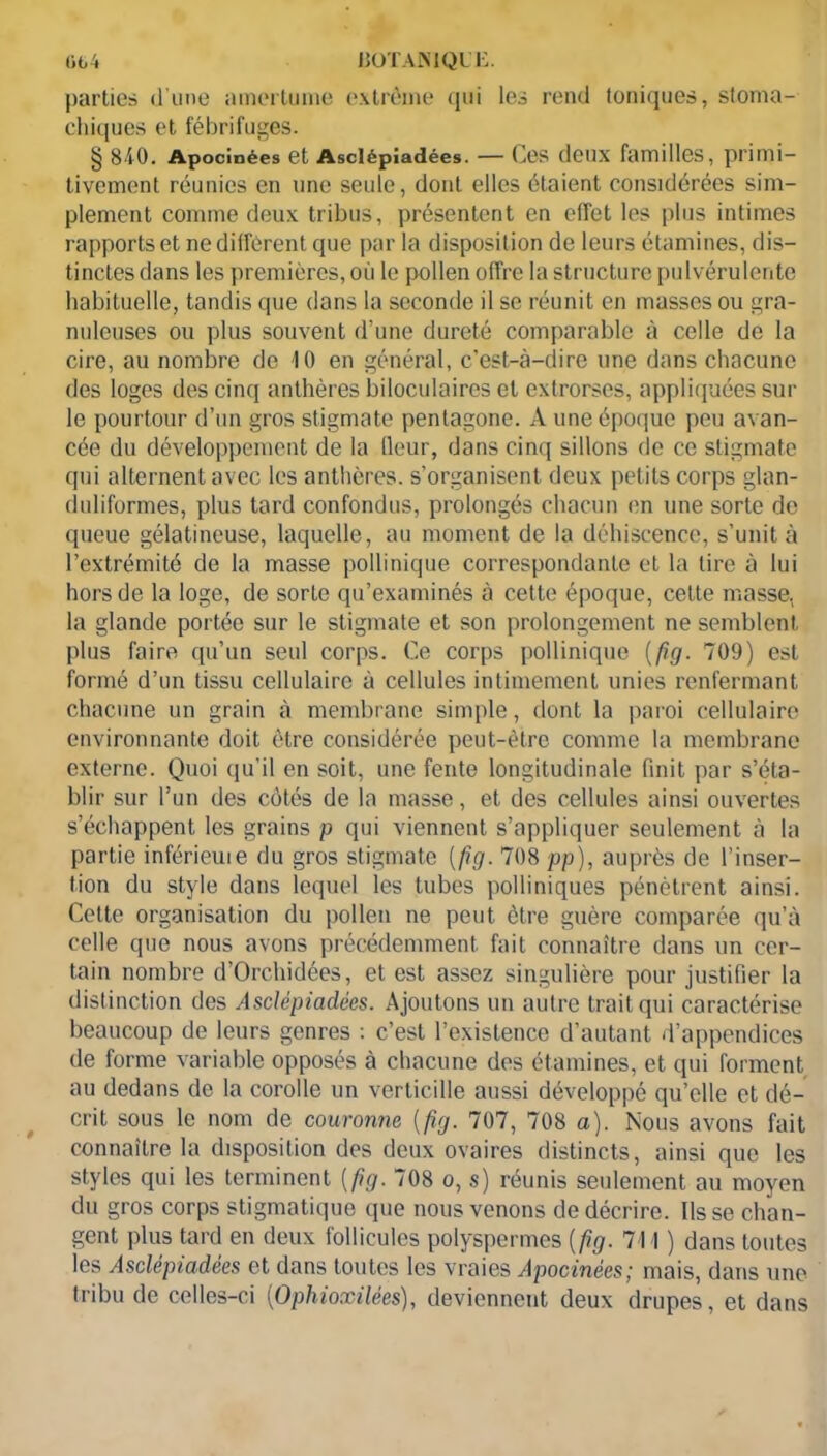 partie» (l’une amertume extrême qui les rend toniques, stoma- chiques et fébrifuges. § 840. Apocinées et Asclépîadées. — Ces deux familles, primi- tivement réunies en une seule, dont elles étaient considérées sim- plement comme deux tribus, présentent en effet les plus intimes rapports et ne différent que par la disposition de leurs étamines, dis- tinctes dans les premières, où le pollen offre la structure pulvérulente habituelle, tandis que dans la seconde il se réunit en masses ou gra- nuleuses ou plus souvent d’une dureté comparable à celle de la cire, au nombre de 10 en général, c’est-à-dire une dans chacune des loges des cinq anthères biloculaires et exlrorses, appliquées sur le pourtour d’un gros stigmate pentagone. A une époque peu avan- cée du développement de la fleur, dans cinq sillons de ce stigmate qui alternent avec les anthères, s’organisent deux petits corps glan- duliformes, plus tard confondus, prolongés chacun en une sorte do queue gélatineuse, laquelle, au moment de la déhiscence, s’unit à l’extrémité de la masse pollinique correspondante et la tire à lui hors de la loge, de sorte qu’examinés à cette époque, cette masse, la glande portée sur le stigmate et son prolongement ne semblent plus faire qu’un seul corps. Ce corps pollinique [fig. 709) est formé d’un tissu cellulaire à cellules intimement unies renfermant chacune un grain à membrane simple, dont la paroi cellulaire environnante doit être considérée peut-être comme la membrane externe. Quoi qu'il en soit, une fente longitudinale finit par s’éta- blir sur l’un des côtés de la masse, et des cellules ainsi ouvertes s’échappent les grains p qui viennent s’appliquer seulement à la partie inférieuie du gros stigmate [fig. 708 pp), auprès de l’inser- tion du style dans lequel les tubes polliniques pénètrent ainsi. Cette organisation du pollen ne peut être guère comparée qu’à celle que nous avons précédemment fait connaître dans un cer- tain nombre d’Orchidées, et est assez singulière pour justifier la distinction des Asclépîadées. Ajoutons un autre trait qui caractérise beaucoup de leurs genres : c’est l’existence d’autant d’appendices de forme variable opposés à chacune des étamines, et qui forment au dedans de la corolle un verticille aussi développé qu’elle et dé- crit sous le nom de couronne (fig. 707, 708 a). Nous avons fait connaître la disposition des deux ovaires distincts, ainsi que les styles qui les terminent [fig. 708 o, s) réunis seulement au moyen du gros corps stigmatique que nous venons de décrire. Ils se chan- gent plus tard en deux follicules polyspermes [fig. 711 ) dans toutes les Asclépîadées et dans toutes les vraies Apocinées ; mais, dans une tribu de celles-ci (Ophioxilèes), deviennent deux drupes, et dans