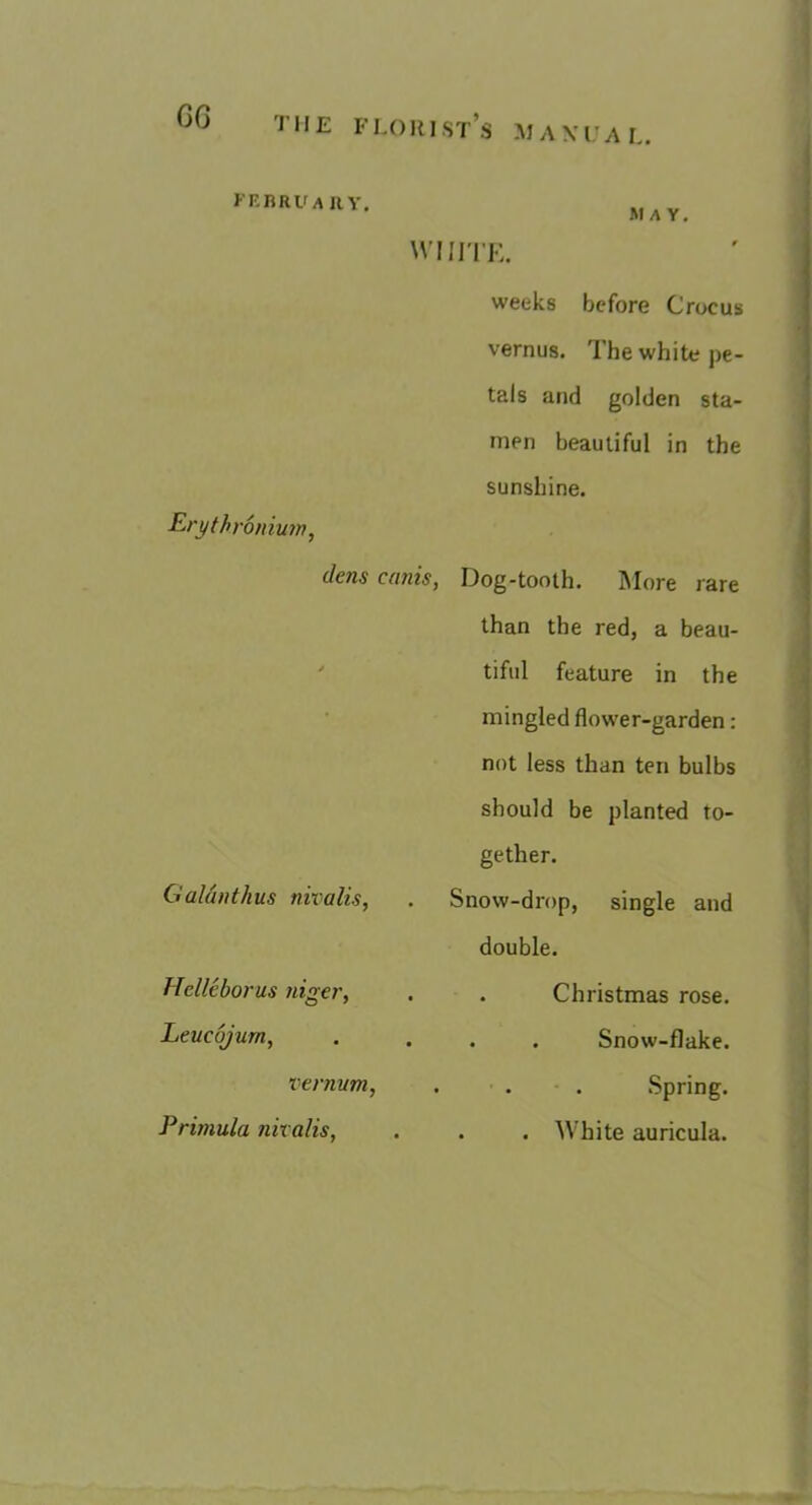 GG KEBRU A liv, w Eryth ronium, dens cams, Galunthus nivalis, Hclleborus niger, Leucojum, vernum, Primula nivalis, May. iri’K. weeks before Crocus vernus. The white pe- tals and golden sta- men beautiful in the sunshine. Dog-tooth. IMore rare than the red, a beau- tiful feature in the mingled flower-garden: not less than ten bulbs should be planted to- gether. Snow-drop, single and double. . Christmas rose. . . Snow-flake. Spring. . . White auricula.