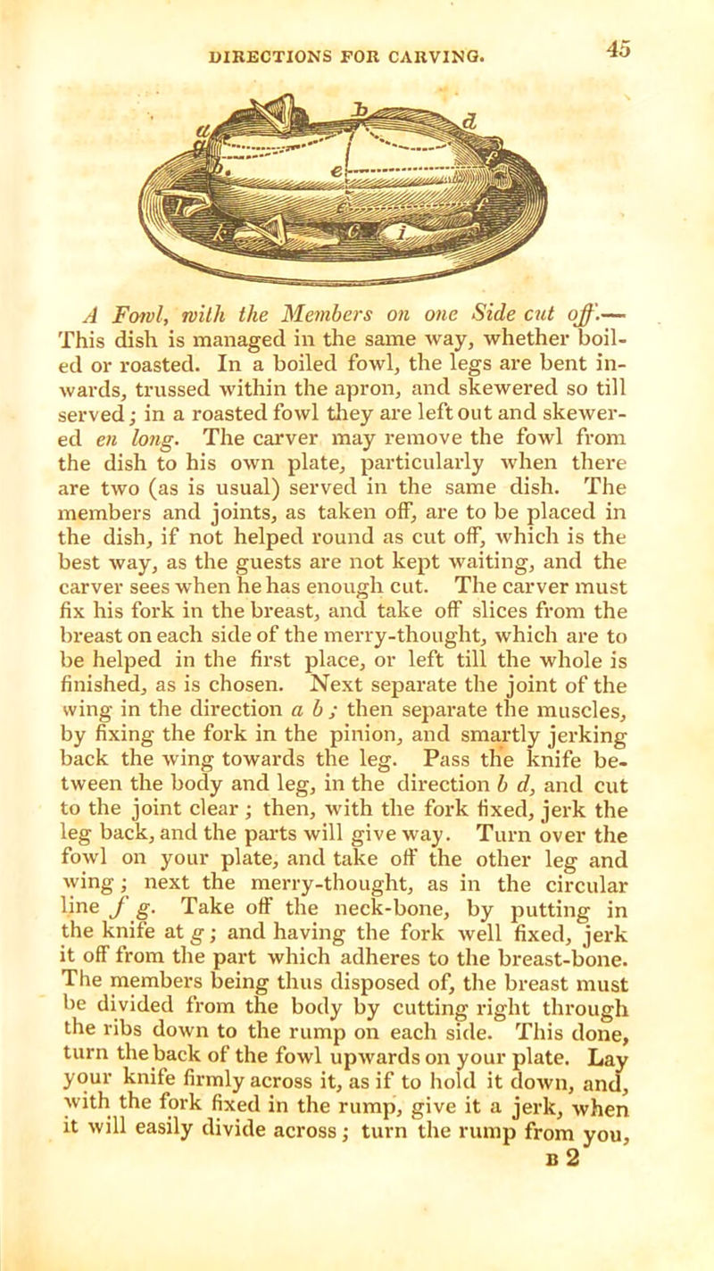 A Fowl, with the Members on one Side cut off.— This dish is managed in the same way, whether boil- ed or roasted. In a boiled fowl, the legs are bent in- wards, trussed within the apron, and skewered so till served; in a roasted fowl they are left out and skewer- ed en long. The carver may remove the fowl from the dish to his own plate, particularly when there are two (as is usual) served in the same dish. The members and joints, as taken off, are to be placed in the dish, if not helped round as cut off, which is the best way, as the guests are not kept waiting, and the carver sees when he has enough cut. The carver must fix his fork in the breast, and take off slices from the breast on each side of the merry-thought, which are to be helped in the first place, or left till the whole is finished, as is chosen. Next separate the joint of the wing in the direction a b ; then separate the muscles, by fixing the fork in the pinion, and smartly jerking back the wing towards the leg. Pass the knife be- tween the body and leg, in the direction b d, and cut to the joint clear ; then, with the fork fixed, jerk the leg back, and the parts will give way. Turn over the fowl on your plate, and take off the other leg and wing; next the merry-thought, as in the circular line f g. Take off the neck-bone, by putting in the knife at g; and having the fork well fixed, jerk it off from the part which adheres to the breast-bone. The members being thus disposed of, the breast must be divided from the body by cutting right through the ribs down to the rump on each side. This done, turn the back of the fowl upwards on your plate. Lay your knife firmly across it, as if to hold it down, and, with the fork fixed in the rump, give it a jerk, when it will easily divide across; turn the rump from you.