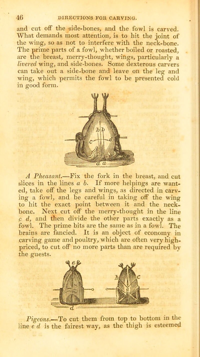 and cut off the side-bones, and the fowl is carved. What demands most attention, is to hit the joint of the wing, so as not to interfere with the neck-bone. The prime parts of a fowl, whether boiled or roasted, are the breast, merry-thought, wings, particularly a livered wing, and side-bones. Some dexterous carvers can take out a side-bone and leave on the leg and wing, which permits the fowl to be presented cold in good form. A Pheasant.—Fix the fork in the breast, and cut slices in the lines a b. If more helpings are want- ed, take off the legs and wings, as directed in carv- ing a fowl, and be careful in taking off the wing to hit the exact point between it and the neck- bone. Next cut off the merry-thought in the line c d, and then divide the other parts exactly as a fowl. The prime bits are the same as in a fowl. The brains are fancied. It is an object of economy in carving game and poultry, which are often very high- priced, to cut off no more parts than are required bv the guests. cL — Pigeons.—To cut them from top to bottom in the line e d is the fairest way, as the thigh is esteemed