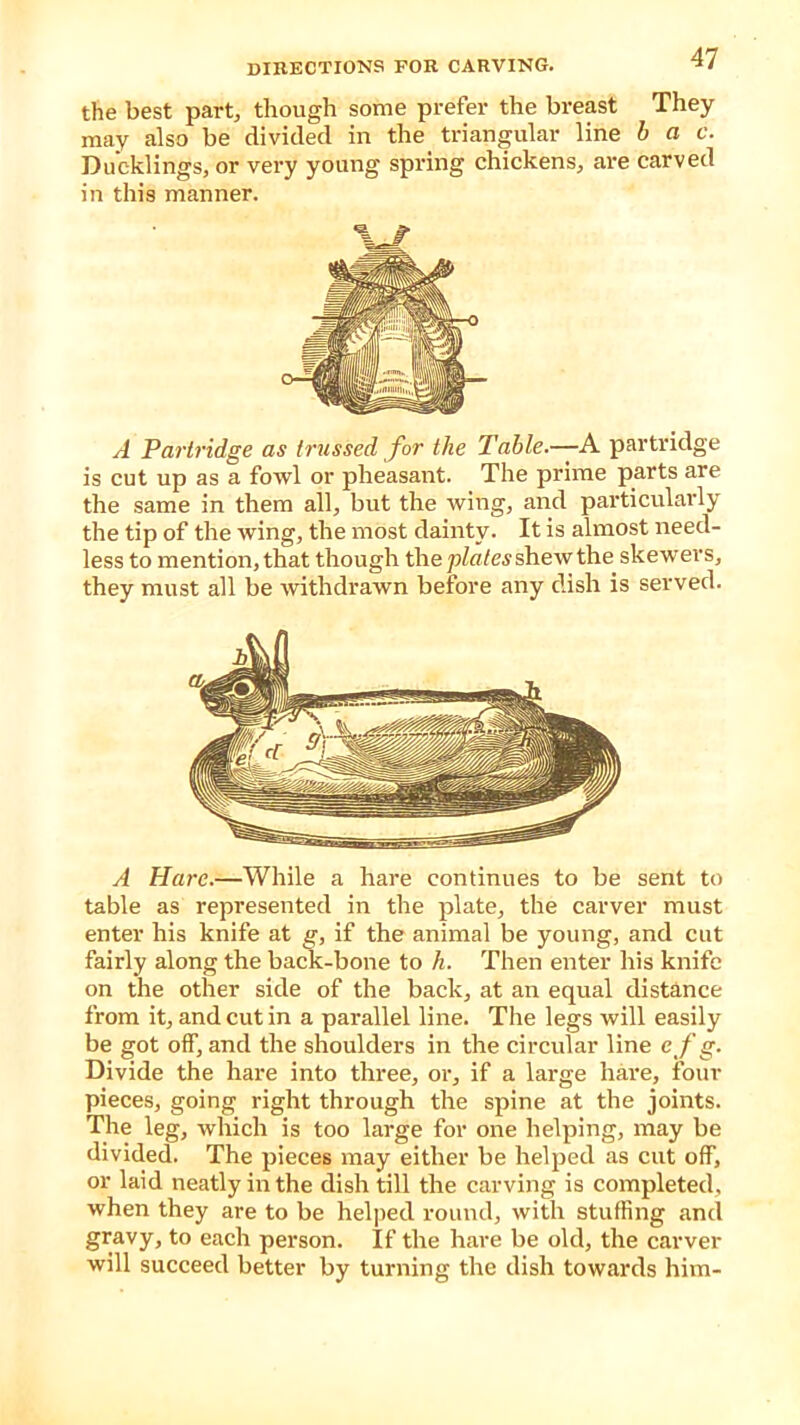 the best part, though some prefer the breast They may also be divided in the triangular line b a c. Ducklings, or very young spring chickens, are carved in this manner. A Partridge as trussed for the Table.—A partridge is cut up as a fowl or pheasant. The prime parts are the same in them all, but the wing, and particularly the tip of the wing, the most dainty. It is almost need- less to mention, that though the plates shew the skewers, they must all be withdrawn before any dish is served. A Hare.—While a hare continues to be sent to table as represented in the plate, the carver must enter his knife at g, if the animal be young, and cut fairly along the back-bone to h. Then enter his knife on the other side of the back, at an equal distance from it, and cut in a parallel line. The legs will easily be got off, and the shoulders in the circular line cfg. Divide the hare into three, or, if a large have, four pieces, going right through the spine at the joints. The leg, which is too large for one helping, may be divided. The pieces may either be helped as cut off, or laid neatly in the dish till the carving is completed, when they are to be helped round, with stuffing and gravy, to each person. If the hare be old, the carver will succeed better by turning the dish towards him-