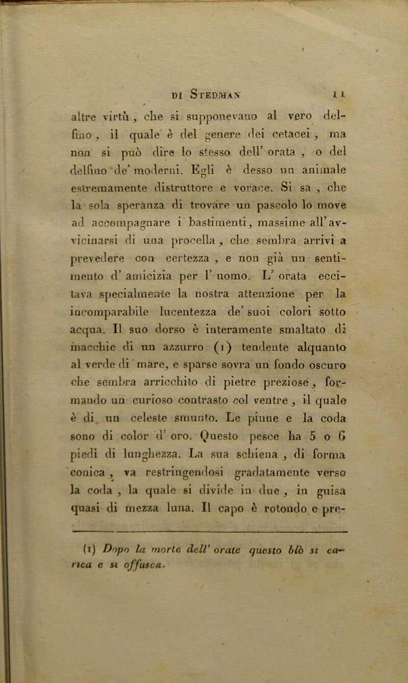 DI StKDMAN' I l altre virtu , che si supponevauo al vero dcl- fmo . il quale e del genere dei cetaoei , ma non si puo dire lo stesso dell’ orata , o del delfiuo de’ moderni. Egli e desso vm animale eslremamente distruttore e voraee. Si sa , che la sola speranza di trovare un pascolo lo move ad accempagnare i bastimenti, massime all’av- vicinarsi di una procella , che sembra arrivi a prevedere con certezza , e non gia un senti- mento d’ amicizia per 1 uomo. L’ orata ecci- tava speciahnente la nostra attenzione per la incomparabile lucentezza de’ suoi colori sotto acqua. II suo dorso e interamente smaltato di macchie di un azzurro (i) tendeute alquanto al verde di mare, e sparse sovra un fondo oscuro che sembra arricchito di pietre preziose, for- mando un curioso contrasto col ventre , il quale e di un celeste gmunto. Le piune e la coda sono di color d5 oro. Questo pesce ha 5 o G piedi di lunghezza. La sua schiena , di forma conica , va restringendosi gradatamente verso la coda , la quale si divide in due , in guisa quasi di mezza luna. Il capo e rotondo e pre- (i) Dopo la morlc dell’ orate questo bib si ca— nca e si offusca.