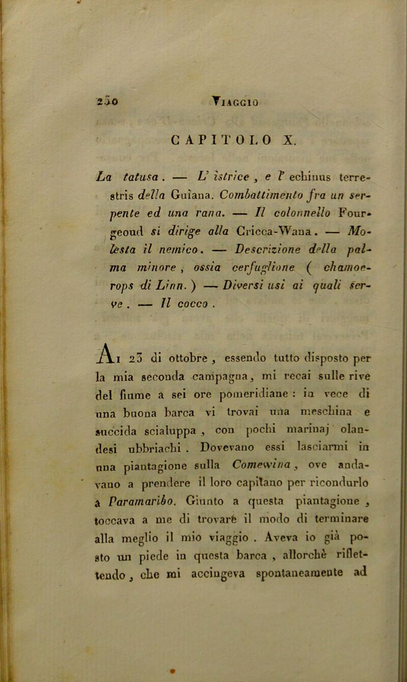 CAPITOLO X. La tatusa . — L istr/ce , e V echinus terre- stris della Guiana. Combatii/nenlo fra un ser- pente ed una rana. — II colonnetlo Four- geoud si dirige alia Cricca-Wana. — Mo- ksta il nemico. — Descrizione della pal- ma rnhiore , ossia cerfuglione ( cha/noe- rops di Linn. ) — Diversi usi ai quail ser- ve . — II cocco . _/\_i 23 di ottobre , essendo tutto disposto per la mia seconda campagna^ mi recai sulle rive del fiume a sei ore pomeridiane : ia vece di una buona barca vi trovai una meschiua e suc'ci da scialuppa , con pochi mariuaj olan- desi ubbriachi . Dovevano essi lasciarmi in nna piantagione sulla Comewina , ove anda- vano a premiere il loro capilauo per ricondurlo a Paramaribo. Giunto a questa piantagione , toccava a me di trovarfe il modo di terminare alia meglio il mio viaggio . Aveva io gia po- sto un piede in questa barca , allorche riflet-
