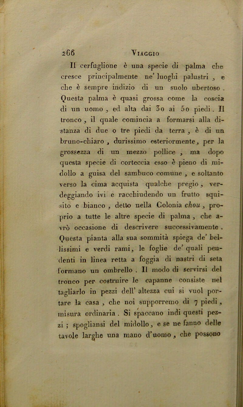 II cerfuglione e una specie di palma che cresce principalmente ne’ luoghi palustri e che e sempre indizio di un suolo ubertoso . Questa palma e quasi grossa come la coscia di un uomo 3 ed alta dai 3o ai 5o piedi. II tronco 3 il quale comincia a formarsi alia di- stanza di due o tre piedi da terra 3 c di un bruno-cliiaro 3 durissimo esteriormente3 per la grossezza di un mezzo polbce , ma dopo questa specie di corteccia esso £ pieno di mi- dollo a guisa del sambuco comune 3 e soltanto verso la cima acquista qualche pregio 3 ver- deggiando ivi e raccbiudendo un frutto 6qui- sito e bianco 3 detto nella Colonia chou, pro- prio a tutte le altre specie di palma 3 cbe a- vro occasione di descrivere successivamentc . Questa pianta alia sua sommita spiega de’ bel- lissimi e verdi rami3 le foglie de5 quali pen- denti in linea retta a loggia di nastri di seta l’ormano un ombrello . II modo di servirsi del tronco per costruire le capanne consiste nel ta^liarlo in pezzi dell’ altezza cui si vuol por- tare la casa 3 che noi supporremo di 7 piedi , mi sura ordinaria . Si spaccano indi questi pez- zi ; spogliansi del midollo, e se ne fanno delle tavole larghe una mano d’uomo, che possono