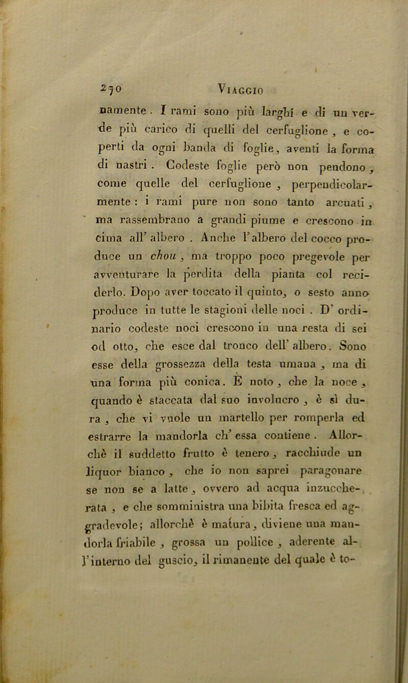 namente . I rami sono piu larghi e Hi uu ver- He piu carico Hi quelli del cerfuglione , e co- perti da ogni banda Hi foglie, aventi la forma di nastri . Godeste foglie pero non pendono , come quelle del cerfuglione , perpendicolar- mente : i rami pure non sono tanto arcuati , ma rassembrano a grandi piume e crescono in cima all5 albero . Anche Talbero del cocco pro- duce un chou , ma troppo poco pregevole per avventurare la perdita della pianta col reci- derlo. Dopo aver toccato il quinto, o sesto anno produce in tutte le stagioui delle noci . D' ordi- nario codesle noci crescono in una resta di sei od otto, rhe esce dal tronco dell’albero. Sono esse della grossezza della testa umaua , ma di una forma piu conica. E noto , cbe la noce ,, quando e staccata dal suo involucro , e si du- ra , che vi vuole un martello per romperla ed estrarre la mandorla ch5 essa contiene . Allor- clie il suddetto frutto e tenero, raccbiude un liquor bianco , che io non saprei paragonare se non se a latte, ovvero ad acqua inzucche- rata , e cbe somministra una bibita fresca ed ag- gradevole; allorcb^ & mafura, diviene una raau- dorla friabile , grossa un pollice , aderente al- J’interno del guseio, ilrimaneute del quale £ to-