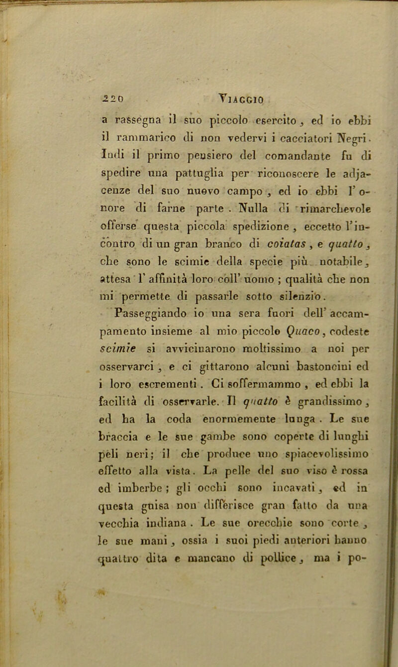 a rassegna il suo piccolo esereito ^ ed io ebbi il rammarico di non vedervi i cacciatori Negri. Indi il primo peusiero del comandante fu di spedire una pattuglia per riconoscere le adja- cenze del suo nuevo campo , ed io ebbi 1’ o- nore di fame parte . Nulla di rhnarcbevole offerse questa piccola spedizione , eccetto l’iu- contro di un gran branco di coiatas , e quatlo s cbe sono le scimie della specie piu notabile., attesa 1’ affinita loro coll’ uorno ; qualita cbe non mi permette di passarle sotto silenzio. Passeggiando io una sera fuori dell’ accam- pamento insieme al mio piccolo Quaco, codeste scimie si avvicinarono moltissimo a noi per osservarci 3 e ci gittarono alcuui bastoncini ed i loro escrementi . Ci soffermammo , ed ebbi la facilita di osservarle. Il qiiatto h grandissimo 3 ed ba la coda enormemente lnnga . Le sue braccia e le sue gambe sono coperte di lungbi peli neri; il cbe produce uno spiacevolissimo effetto alia vista. La pelle del suo viso ^ rossa cd imberbe ; gli occbi sono incavati ^ ed in questa guisa non differisce gran fatto da una vecchia indiana . Le sue oreccbie sono corte y le sue mani j ossia i suoi piedi auteriori hauuo quaitro di la e ruancano di pollice j ma i po-