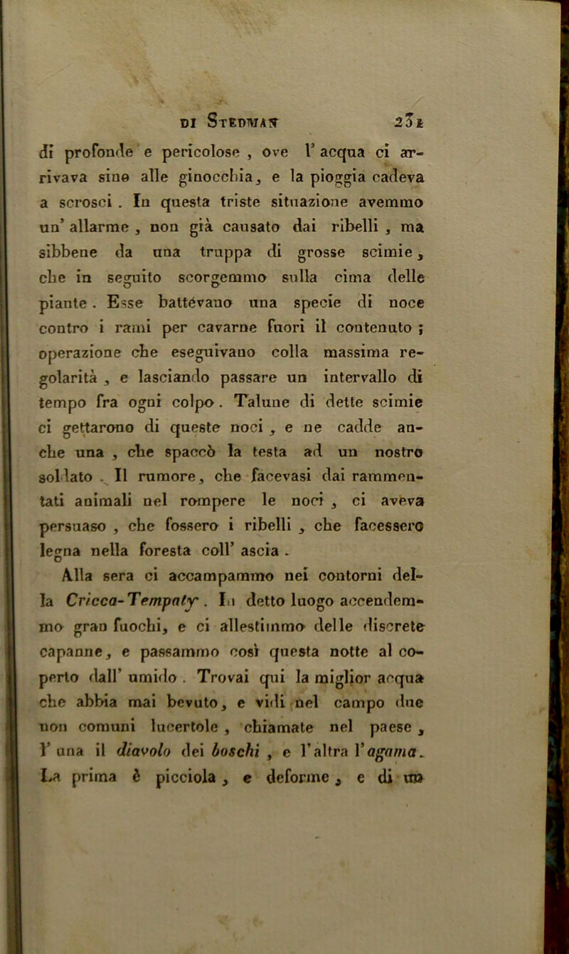DI StETWAtf 2Zl di profonde e pericolose , ove Is acqua ci ar- rivava sine alle ginoccliiaj e la pioggia cadeva a scrosci . In questa triste situazione avemmo ua’ allarme , non gra causato dai rlbelli , raa sibbene da ana truppa di grosse scimie, cbe in seguito scorgemmo sulla cima delle piante. Esse batt6vano una specie di noce contro i rami per cavarne fuori il contenuto ; operazione cbe eseguivano colla massima re- golarita , e lasciando passare un intervallo di tempo fra ogni colpo. Talune di dette scimie ci gettarono di queste noci , e ne cadde an- cbe una , cbe spaccb la testa ad un nostro sollato II rumore, cbe facevasi dai rarnmen- tati animali nel compere le noci , ci aveva persuaso , cbe fossero i ribelli , cbe facessero lejjna nella foresta coll’ ascia - O Alla sera ci accampammo nei contorni del- la Cricca-Tempnly'. I.i detto luogo accendem- mo gran fuocbi, e ci allestiinmo delle discrete capanne, e passammo cosi questa notte al co- perto dall' umido . Trovai qui la miglior acqua cbe abbia mai bevuto, e vidi nel campo due non comuni lucertolc , cbiamate nel paese , 1’ una il diavolo dei boschi , e l’altra Yagarna.
