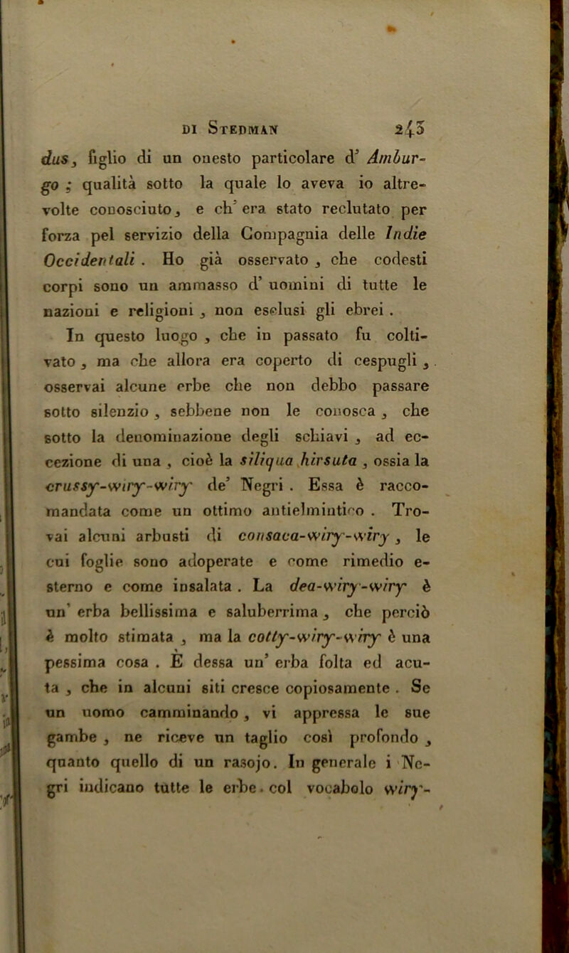 dus s figlio di un onesto particolare d’ Ambur- go ; qualita sotto la quale lo aveva io altre- volte couosciutOj e ch era stato reclutato per forza pel servizio della Gompagnia delle Indie Occiden tali . Ho gia osservato , che codesti corpi sono uu ammasso d’ uomiui di tutte le nazioui e religioni j noa eselusi gli ebrei . In questo luogo , cbe in passato fu colti- vato j ma che allora era coperto di cespugli , osservai alcune orbe cbe non debbo passare sotto silenzio, sebbene non le conosca ^ che sotto la denominazione degli schiavi 3 ad ec- cezione di una , c\ob la silicjua hirsuta , ossia la crussy-wiry-wiry de’ Negri . Essa b racco- mandata come un ottimo antielmintioo . Tro- rai alcuni arbusti di consaca-wiry-wiry, le cui foglie sono adoperate e come rimedio e- sterno e come insalata . La dea-wiry-wiry b un' erba bellissima c saluberrima che percid b molto stimata , ma la cotly-wiry-wrry b una pessima cosa . E dessa un’ erba folta ed acu- ta , che in alcuni giti cresce copiosamente . Se un nomo camminando , vi appressa le sue gambe , ne riceve un taglio cosi profondo quanto quello di un rasojo. In generale i Ne- gri iudicano tutte le erbe. col vooabolo wiry-