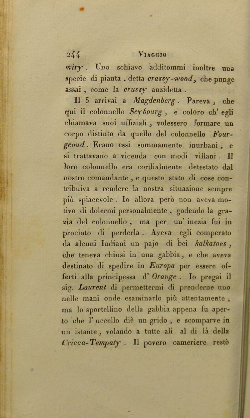 wiry' . Uno schiavo additomrai inoltre una specie di pianta 3 detta crassy-wood 3 che punge assai ^ come la crussy anzidetta . II 5 arrivai a Magdenberg. Pareva j che qui il colonnello Seybourg , e coloro ch’ egli chiamava suoi uifiziali , yolessero formare un corpo distiuto da quello del colonnello Four- geoud. Erano essi soramamente iuurbani e si trattavano a vicenda con modi villani . II loro colonnello era cordialmente detestato dal nostro comandante 5 e qnesto stato di cose con- tribuiva a rendere la nostra situazione sempre piu spiacevole . Io allora pero non aveva mo- tivo di dolermi personalmente ^ godeudo la gra- zia del eolounello , ma per un iuezia fui in procinto di perderla . Ayeva egli comperato da alcuni Indiani an pajo di bei kalhatoes, che teneva chiusi in uua gabbia^ e cbe aveva deslinato di spedire in Europa per essere of- ferti alia principessa d’ Orange . Io pregai il sig. Laurent di permettermi di prcnderue uno nelle maui onde esaminarlo piii attentamente , ma lo sportellino della gabbia appena fu aper- to che 1’ uccello di6 un grido , e scomparve in un istante , volando a tutte ali al di la della Cricca-Tempaty . Il povero cameriere restb