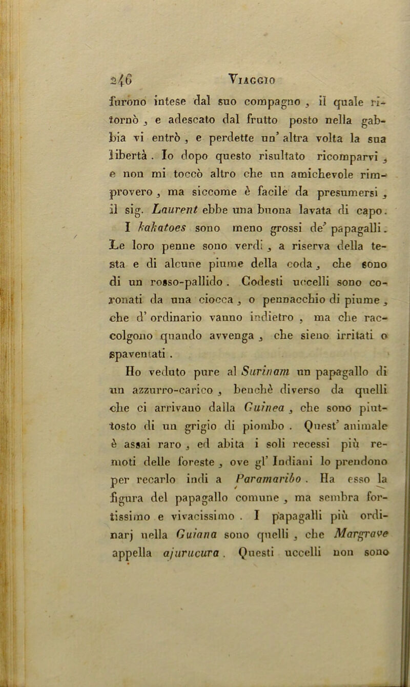 furono intese dal suo compagno il quale ri- forno j e adescato dal frutto posto nella gab- bia vi entr6 , e perdette un’ altra volta la sua liberta . Io dopo questo risultato ricomparvi ,, e non mi toceo altro che un amichevole rim^ provero 3 ma siccome e facile da presumersi 3 il sig. Laurent ebbe una buona lavata di capo. I hahatoes sono ineno grossi de^ papagalli. Le loro penne sono verdi ,, a riserva della te- sta e di alcune piume della coda che sono di un rosso-pallido . Godesti uccelli sono co- ronati da una ciocca 3 o penDacchio di piume , che d’ ordinario vanno ir.dietro , ma che rac- colgono quando avvenga 3 che sieno irritati o spavemati . Ho veduto pure al Surinam un papagallo di un azzurro-carico , bench£ diverso da quelli che ci arrivano dalla Guinea 3 che sono pint- losto di un grigio di piombo . Quest' animale it assai raro 3 ed abita i soli recessi piu re- moti delle loreste ^ ove gl' Indiaui lo prendono per recarlo indi a Paramaribo . Ha esso la figura del papagallo comune , ma seinbra for- tissimo e vivacissimo . I papagalli piu ordi- narj nella Guiana sono quelli 3 che Margrave appella a/urucura . Questi uccelli non sono