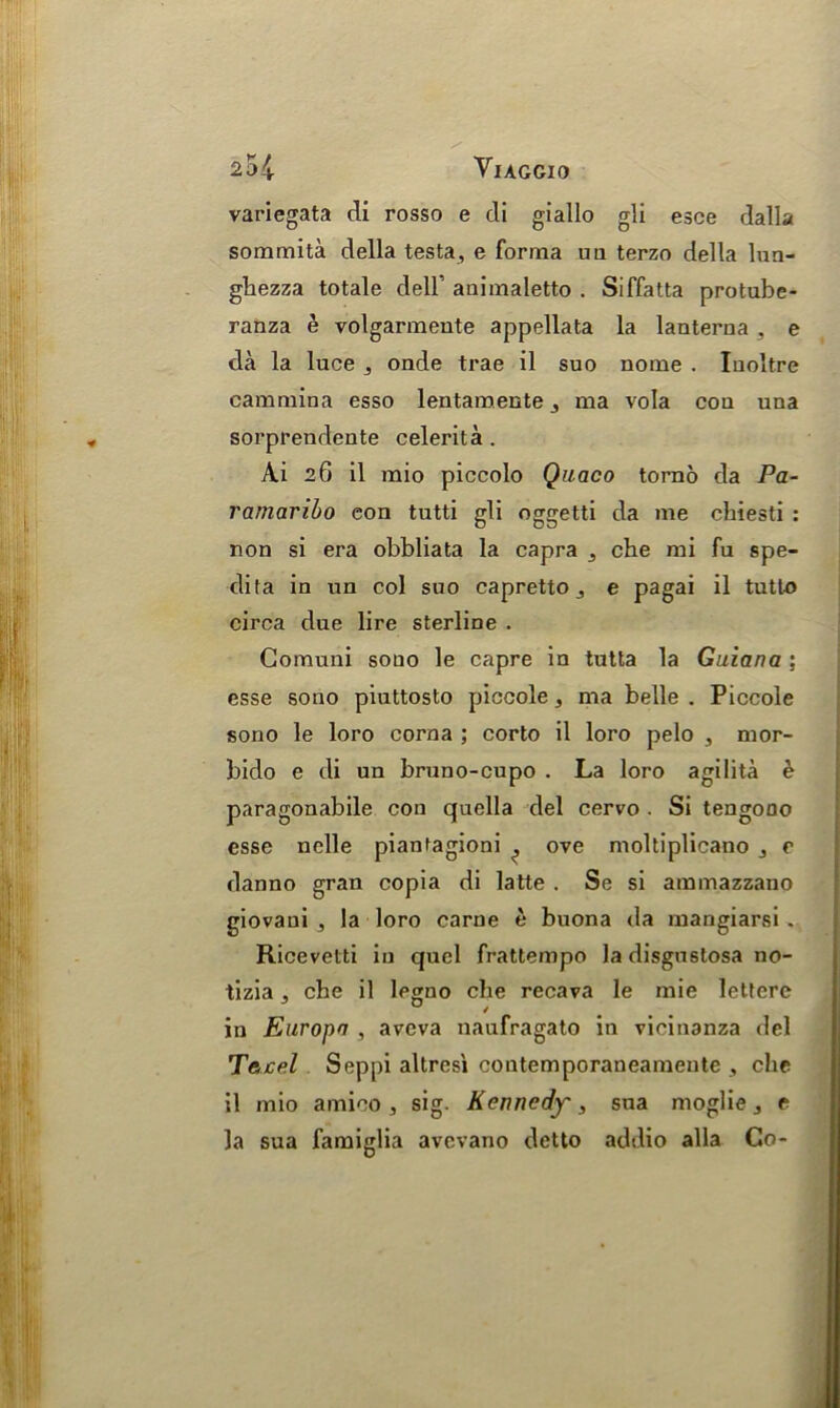 variegata di rosso e di giallo gli esce dalla sommita della testa, e forma un terzo della lun- ghezza totale dell’ aaimaletto . Siffatta protube- ranza e volgarmeute appellata la laaterna , e da la luce , onde trae il suo nome . Iuoltre cammina esso lentamente 3 ma vola cou una sorprendente celerita . Ai 26 il mio piccolo Qaaco torno da Pa- ramaribo con tutti gli oggetti da me chiesti : non si era obbliata la capra che mi fu spe- dita in un col suo capretto ,, e pagai il tutlo circa due lire sterline . Comuni sono le capre in tutta la Guiana : esse sono piuttosto piccole, ma belle . Piccole sono le loro corna ; corto il loro pelo , mor- bido e di un bruno-cupo . La loro agilita e paragonabile con quella del cervo . Si tengooo esse nelle pianfagioni ^ ove moltiplicano , c danno gran copia di latte . Se si ammazzano giovaui , la loro carne e buona da mangiarsi . Ricevetti in quel frattempo la disgustosa no- tizia, che il legno che recava le mie lettcre in Europa , aveva naufragato in vicinanza del Tacfil Sep[)i altrcsi contemporaneameute , che il mio amico 3 sig. Kennedy, sua moglie 3 e la sua famiglia avcvano detto addio alia Co-