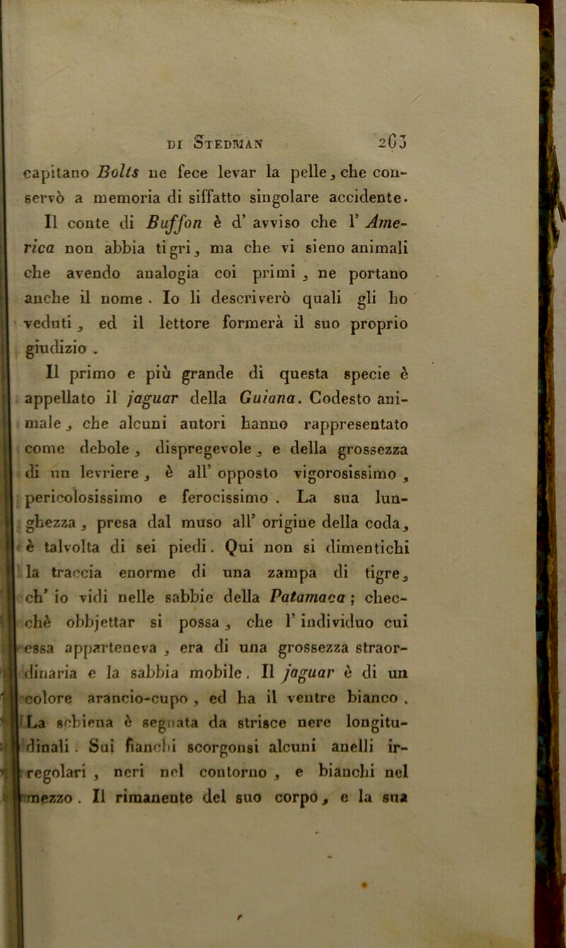 capitano Bolls ue fece levar la pelle j che con- servo a memoria di siffatto singolare accidente- II conte di Buffon h d’ avviso che 1’ Ame- rica non abbia ti gri ma cbe vi sieno animali che avendo analogia coi primi ne portano anche il nome . Io li descrivero qnali gli ho veduti , ed il lettore formera il suo proprio giudizio . Il primo e piu grande di questa specie e appellato il jaguar della Guiana. Codesto ani- mate , che alcuni autori hanno rappresentato come debole , dispregevole , e della grossezza di un levriere , e all’ opposto vigorosissimo , pericolosissimo e ferocissimo . La sua lun- ghezza j presa dal muso all5 origiue della coda, e talvolta di sei piedi. Qui non si dimentichi la traccia enorme di una zampa di tigre, ch’ io vidi nelle sabbie della Patarnaca ; chec- ch& obbjettar si possa, che T individuo cui cssa apparteneva , era di una grossezza straor- dinaria e la sabbia mobile. Il jaguar e di un colore arancio-cupo , ed ha il ventre bianco . La schiena 6 segnata da strisce nere longitu- dinali . Sui fiancbi scorgonsi alcuni anelli ir- rcgolari , ncri nel contorno , e bianchi nel mezzo . Il rimanente del suo corpo j c la sua r