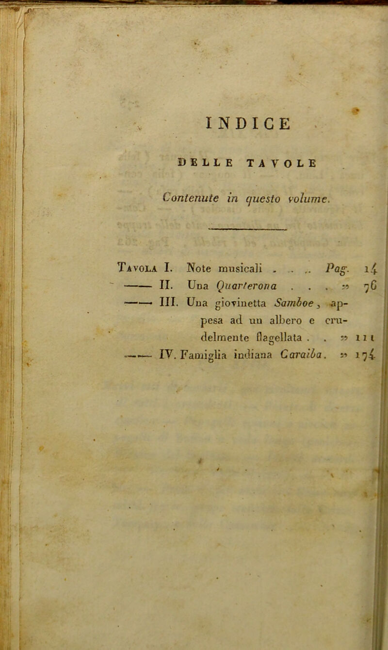 INDICE DELLE TiVOIl Contenute in cjuesto volume. it. .'i f Tavola I. Note musicali . r. Pag. i£ - II. Una Quarferona . 55 7C —III. Una gioyinetta Samboe, ap- pesa ad uu albero e cru- delmente flagellata . . jj in —-— IV. Famiglia indiaaa Caraiba. y> 1^4