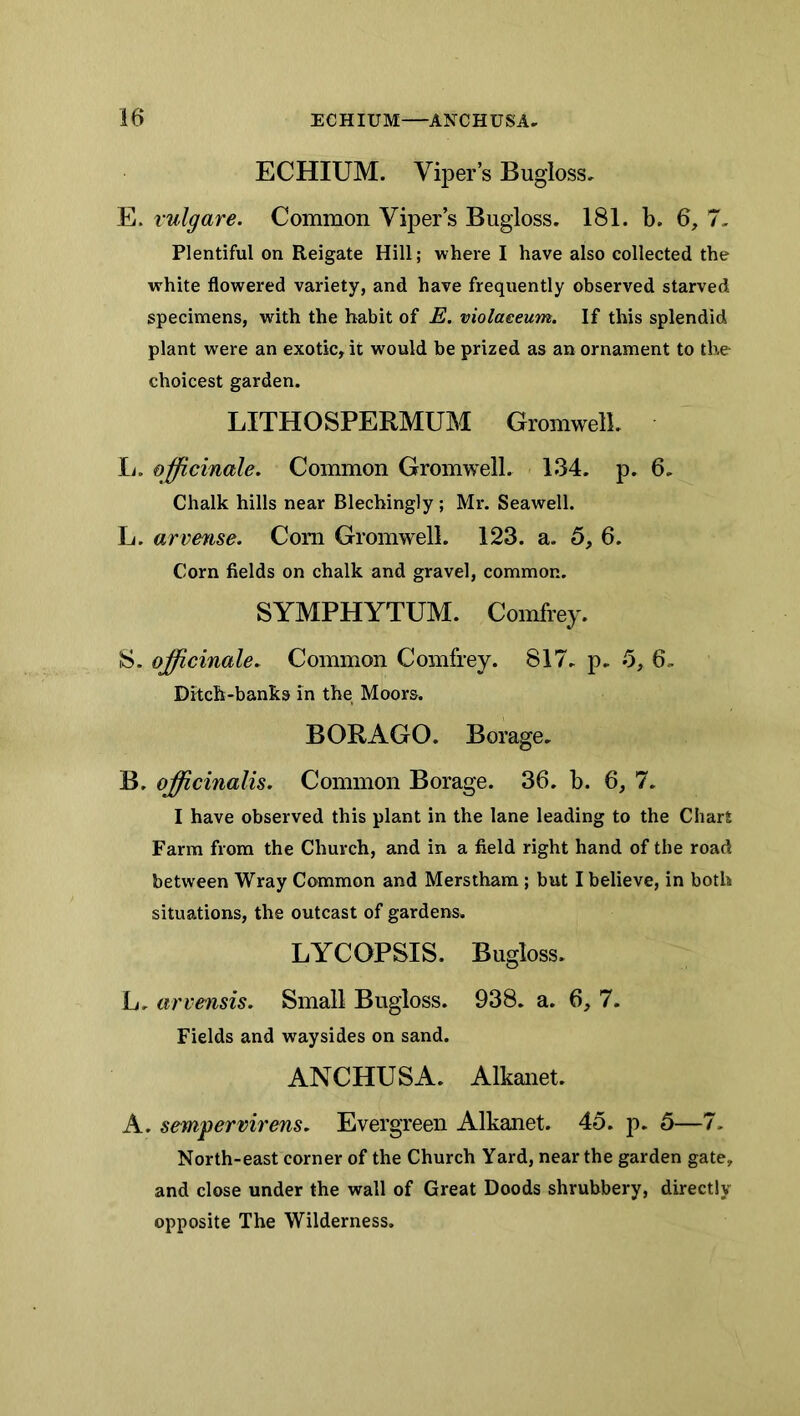 ECHIUM. Viper’s Bugloss, E. vulgare. Common Viper’s Bugloss. 181. b. 6, 7- Plentiful on Reigate Hill; where I have also collected the white flowered variety, and have frequently observed starved specimens, with the habit of E. molaeeum. If this splendid plant were an exotic, it would be prized as an ornament to the- choicest garden. LITHOSPERMUM GromwelL li. officinale. Common GromwelL 134. p. 6. Chalk hills near Blechingly; Mr. Seawell. L. arvense. Com GromwelL 123. a. 5, 6. Corn fields on chalk and gravel, common. SYMPHYTUM. Comfrey. S. officinale. Common Comfrey. 817. p. 6, 6. Ditch-banks in the Moors. BORAGO. Borage. B. officinalis. Common Borage. 36. b. 6, 7. I have observed this plant in the lane leading to the Chart Farm from the Church, and in a field right hand of the road between Wray C&mmon and Merstham; but I believe, in both situations, the outcast of gardens. LYCOPSIS. Bugloss. L. arvensis. Small Bugloss. 938. a. 6, 7. Fields and waysides on sand. ANCHUSA. Alkaiiet. A. sempervirens. Evergreen Alkanet. 45. p. 5—7. North-east corner of the Church Yard, near the garden gate, and close under the wall of Great Doods shrubbery, directly opposite The Wilderness.