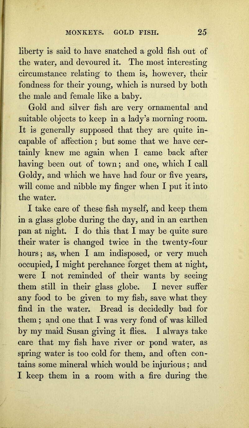 liberty is said to have snatched a gold fish out of the water, and devoured it. The most interesting circumstance relating to them is, however, their fondness for their young, which is nursed by both the male and female like a baby. Gold and silver fish are very ornamental and suitable objects to keep in a lady’s morning room. It is generally supposed that they are quite in- capable of affection; but some that we have cer- tainly knew me again when I came back after having been out of town; and one, which I call Goldy, and which we have had four or five years, will come and nibble my finger when I put it into the water. I take care of these fish myself, and keep them in a glass globe during the day, and in an earthen pan at night. I do this that I may be quite sure their water is changed twice in the twenty-four hours; as, when I am indisposed, or very much occupied, I might perchance forget them at night, were I not reminded of their wants by seeing them still in their glass globe. I never suffer any food to be given to my fish, save what they find in the water. Bread is decidedly bad for them ; and one that I was very fond of was killed by my maid Susan giving it flies. I always take care that my fish have river or pond water, as spring water is too cold for them, and often con- tains some mineral which would be injurious; and I keep them in a room with a fire during the